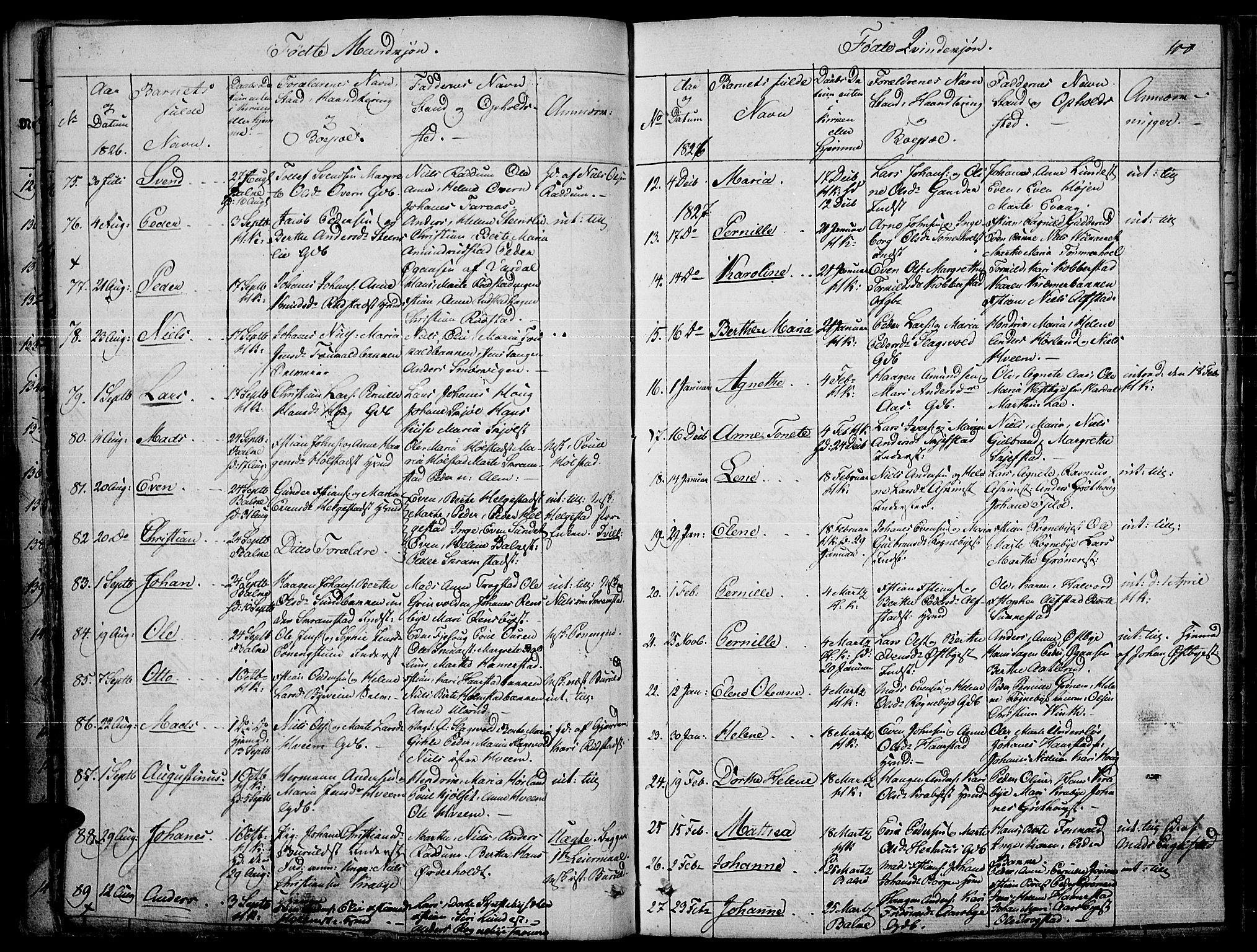 Toten prestekontor, SAH/PREST-102/H/Ha/Haa/L0010: Parish register (official) no. 10, 1820-1828, p. 100