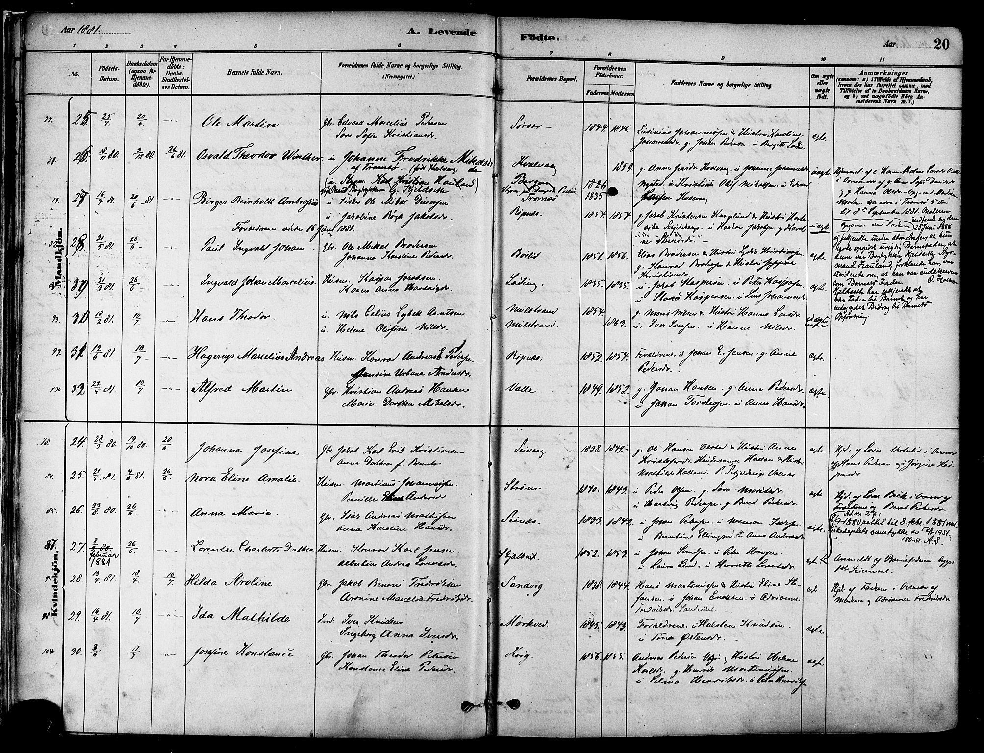 Ministerialprotokoller, klokkerbøker og fødselsregistre - Nordland, SAT/A-1459/802/L0054: Parish register (official) no. 802A01, 1879-1893, p. 20