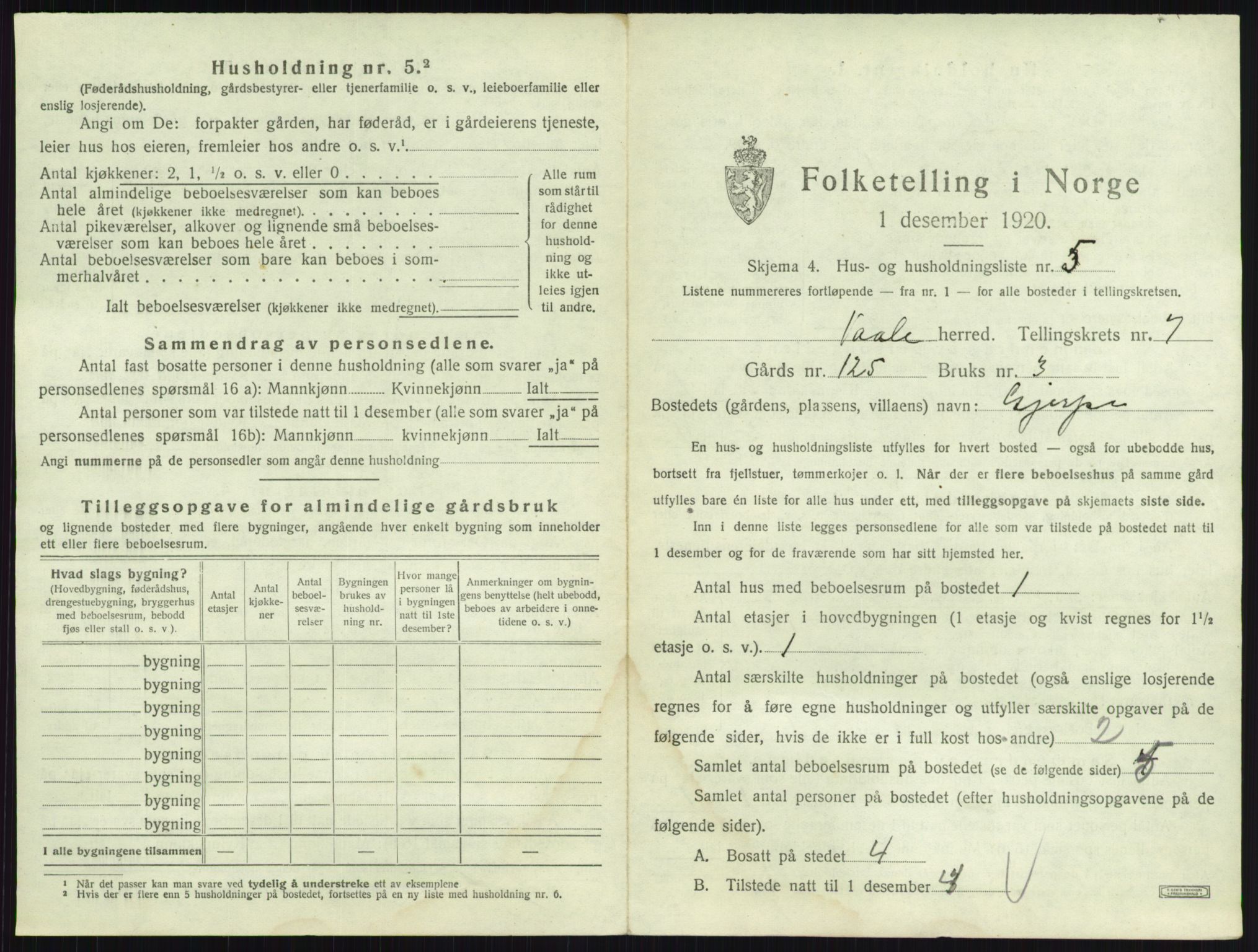 SAKO, 1920 census for Våle, 1920, p. 865