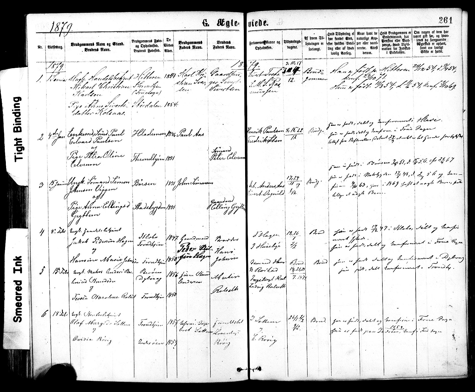 SAT, Ministerialprotokoller, klokkerbøker og fødselsregistre - Sør-Trøndelag, SAT/A-1456/602/L0118Parish register (official) no. 602A16, 1873-1879, p. 261