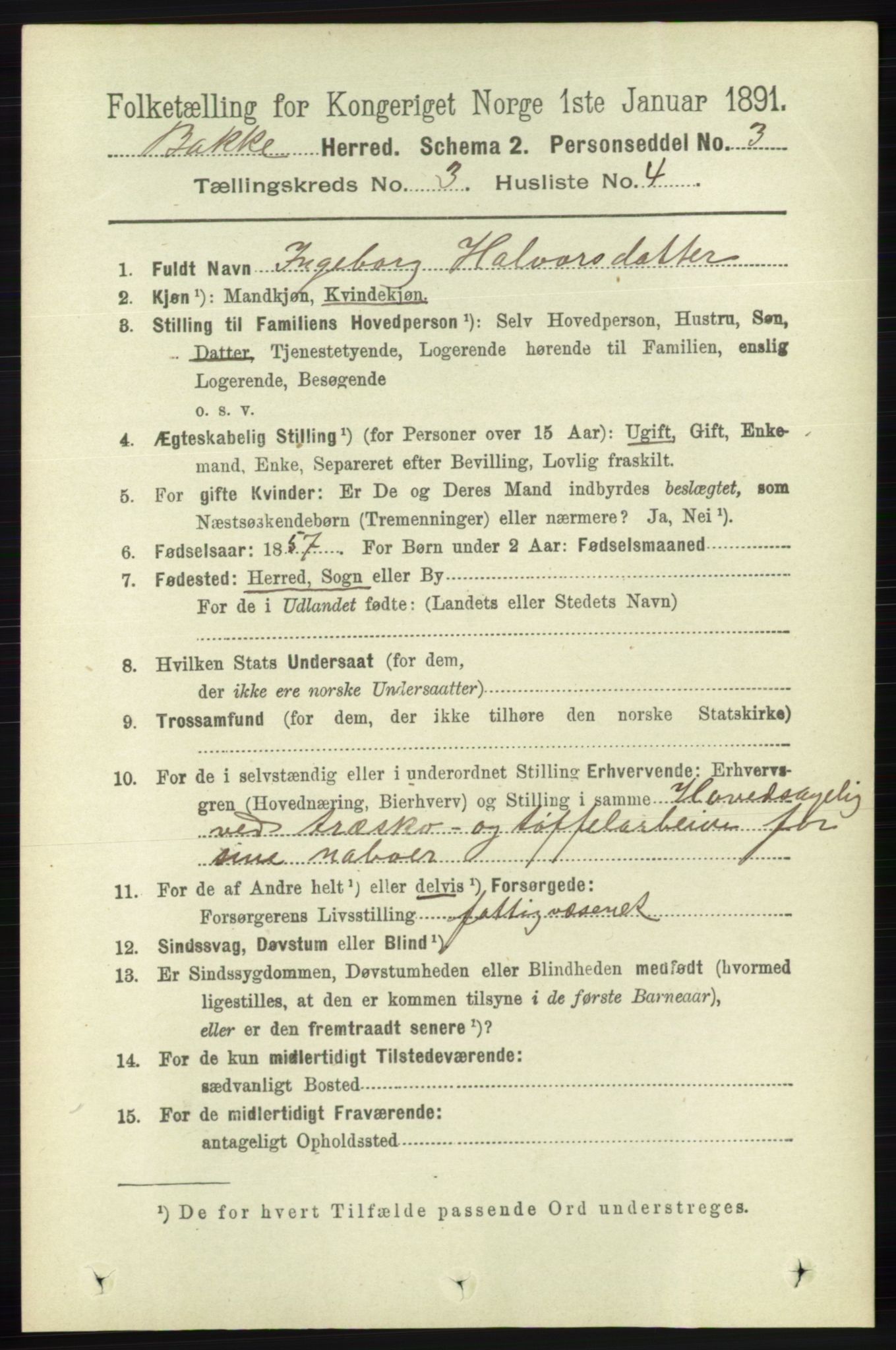 RA, 1891 census for 1045 Bakke, 1891, p. 424