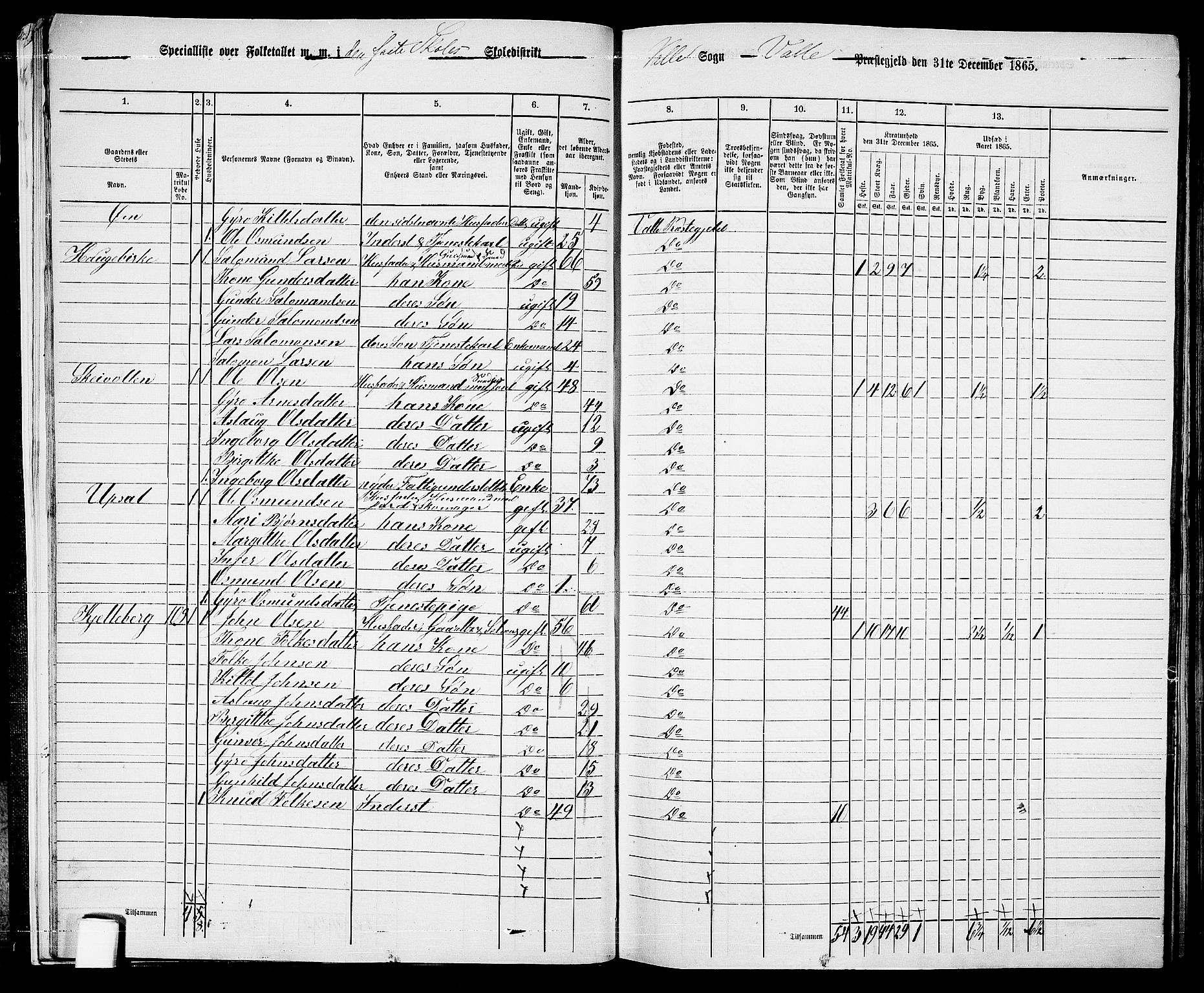 RA, 1865 census for Valle, 1865, p. 17