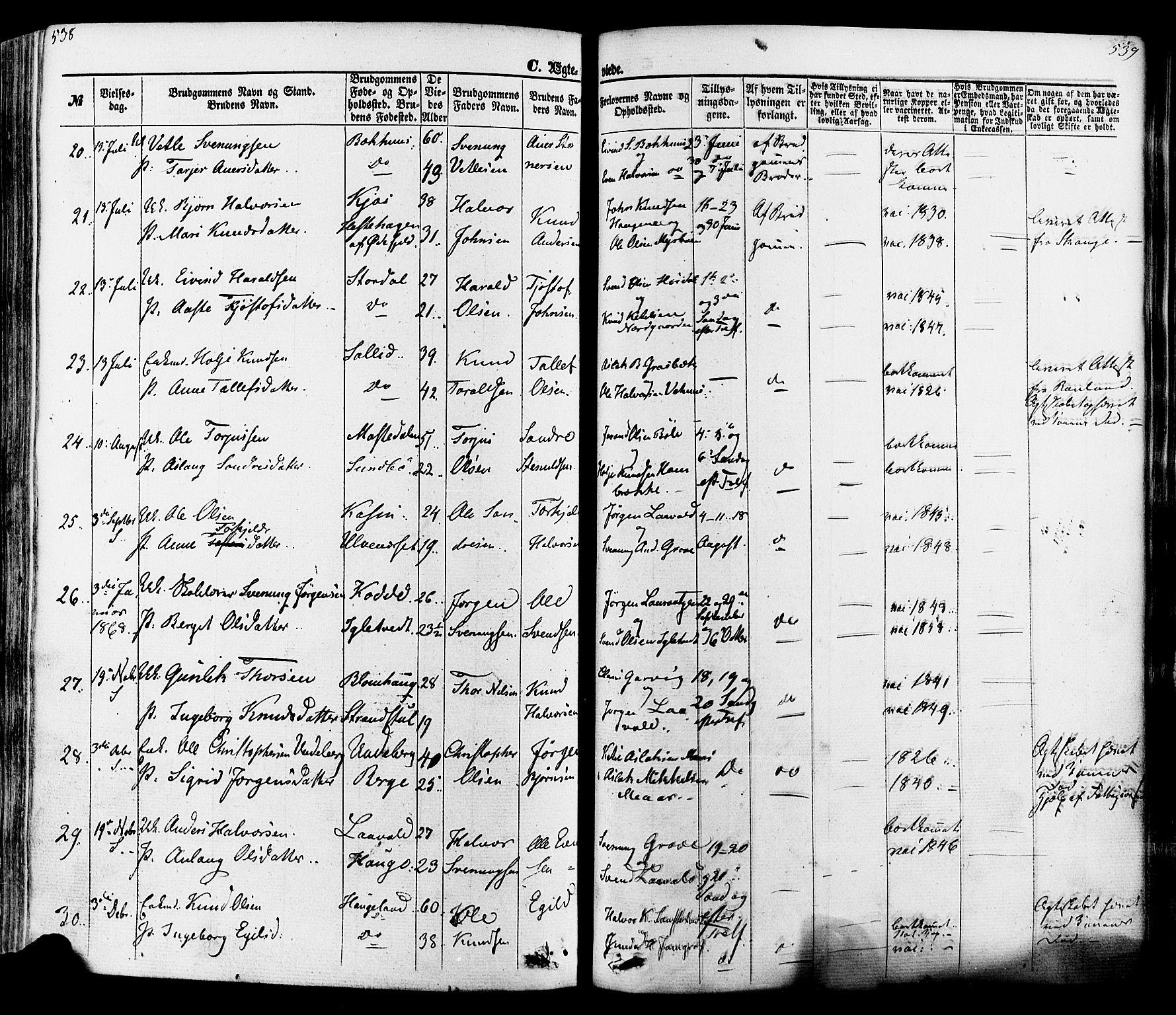 Seljord kirkebøker, AV/SAKO-A-20/F/Fa/L0013: Parish register (official) no. I 13, 1866-1876, p. 538-539