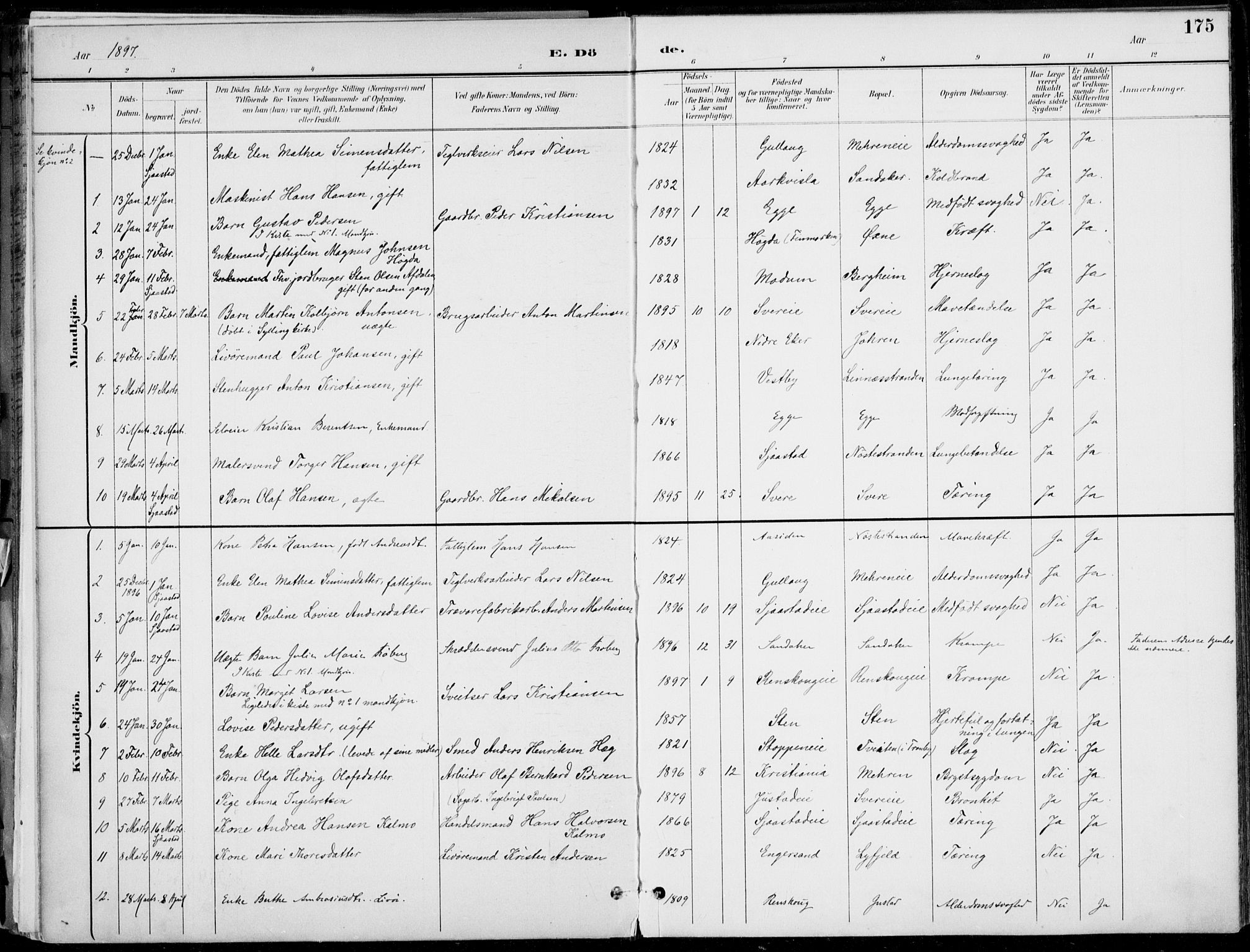 Lier kirkebøker, AV/SAKO-A-230/F/Fa/L0016: Parish register (official) no. I 16, 1895-1900, p. 175