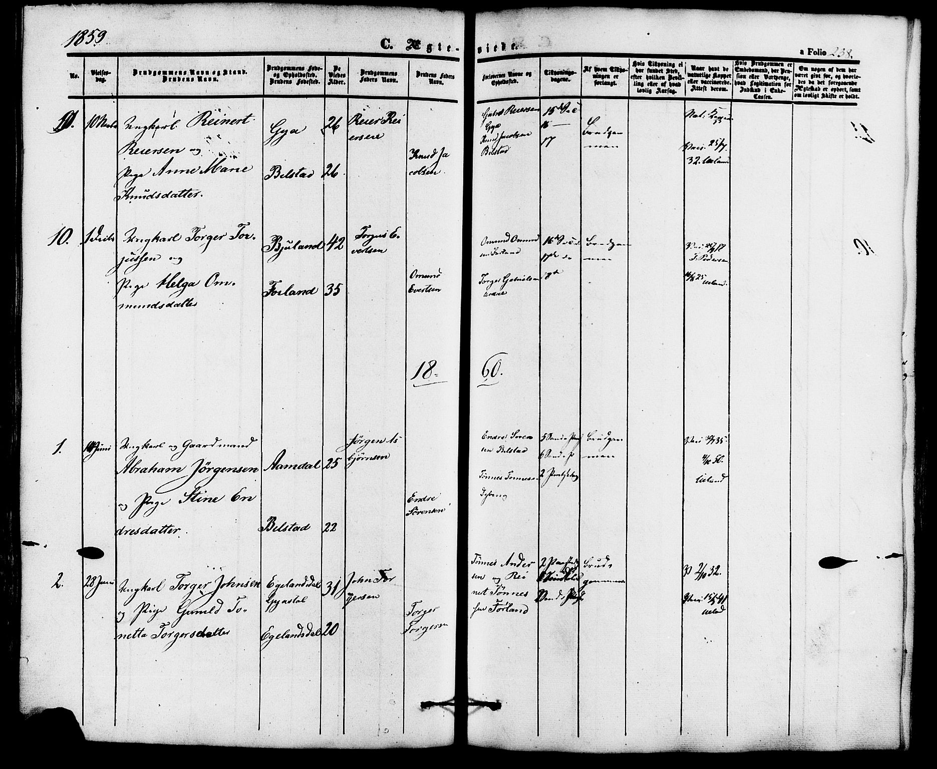 Lund sokneprestkontor, AV/SAST-A-101809/S06/L0010: Parish register (official) no. A 9, 1854-1886, p. 238