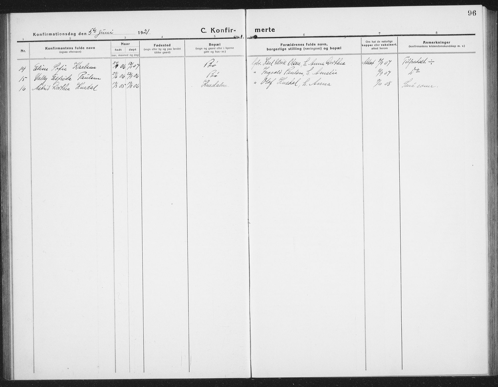 Ministerialprotokoller, klokkerbøker og fødselsregistre - Nordland, AV/SAT-A-1459/855/L0817: Parish register (copy) no. 855C06, 1917-1934, p. 96