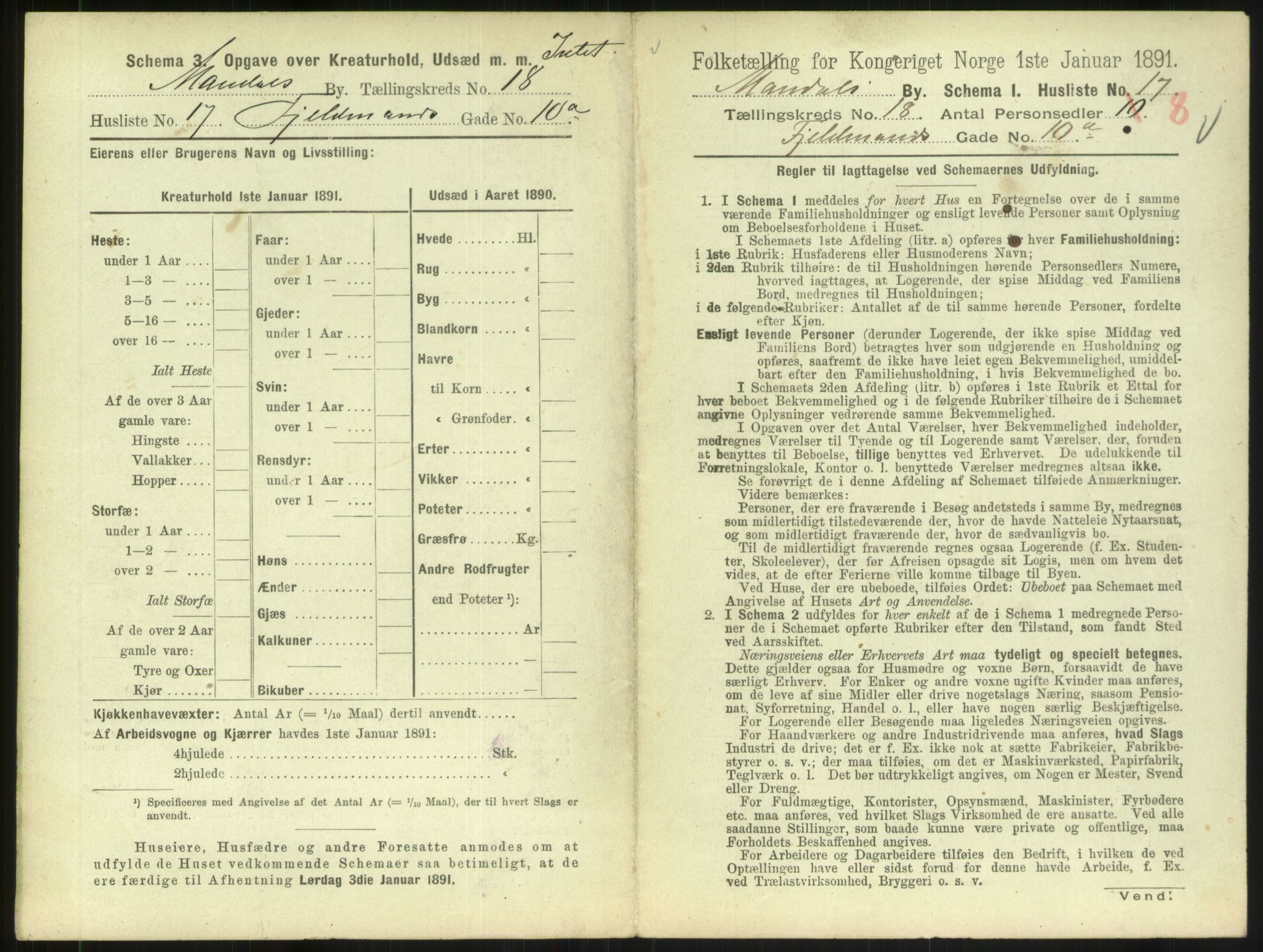 RA, 1891 census for 1002 Mandal, 1891, p. 849