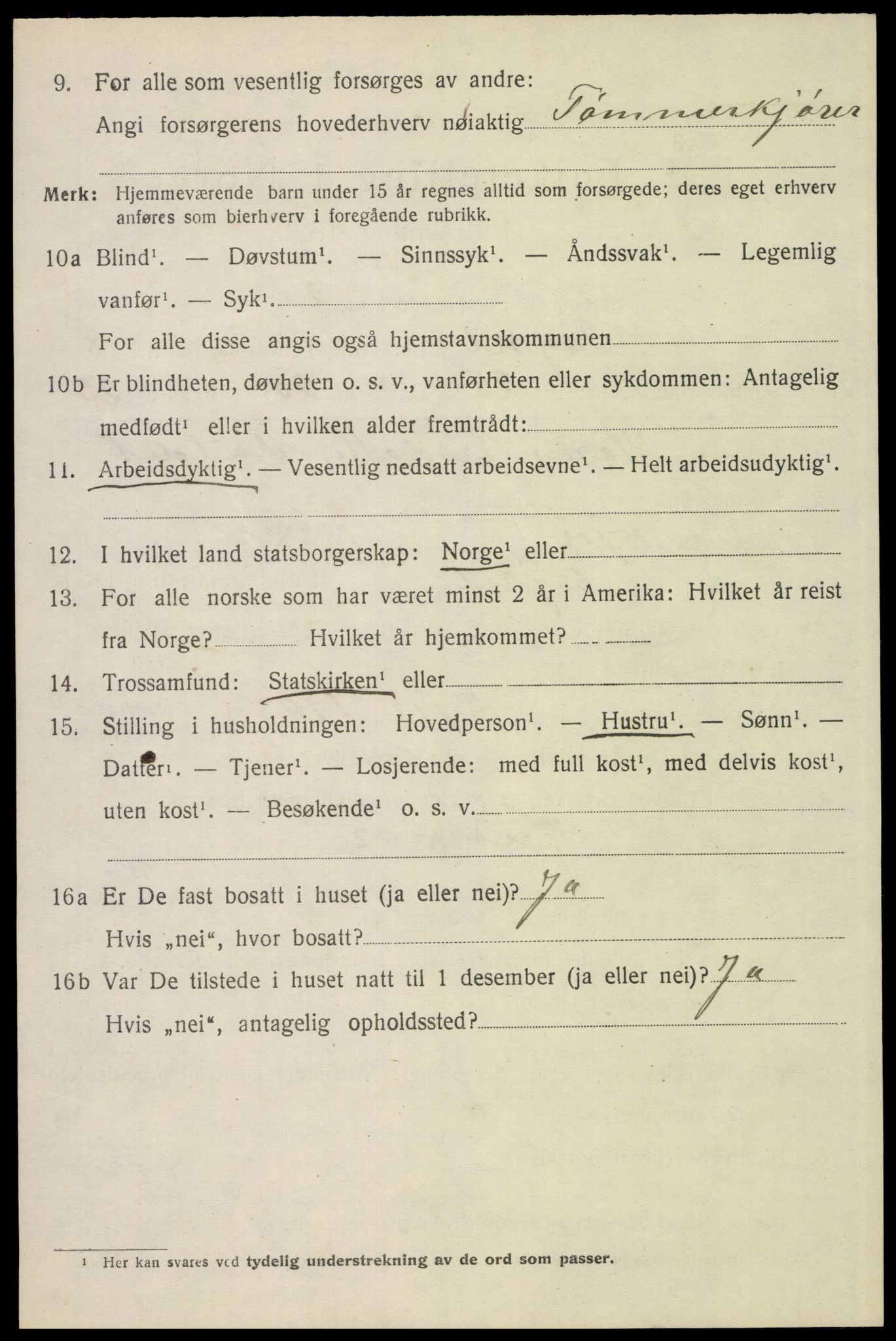 SAH, 1920 census for Trysil, 1920, p. 6532