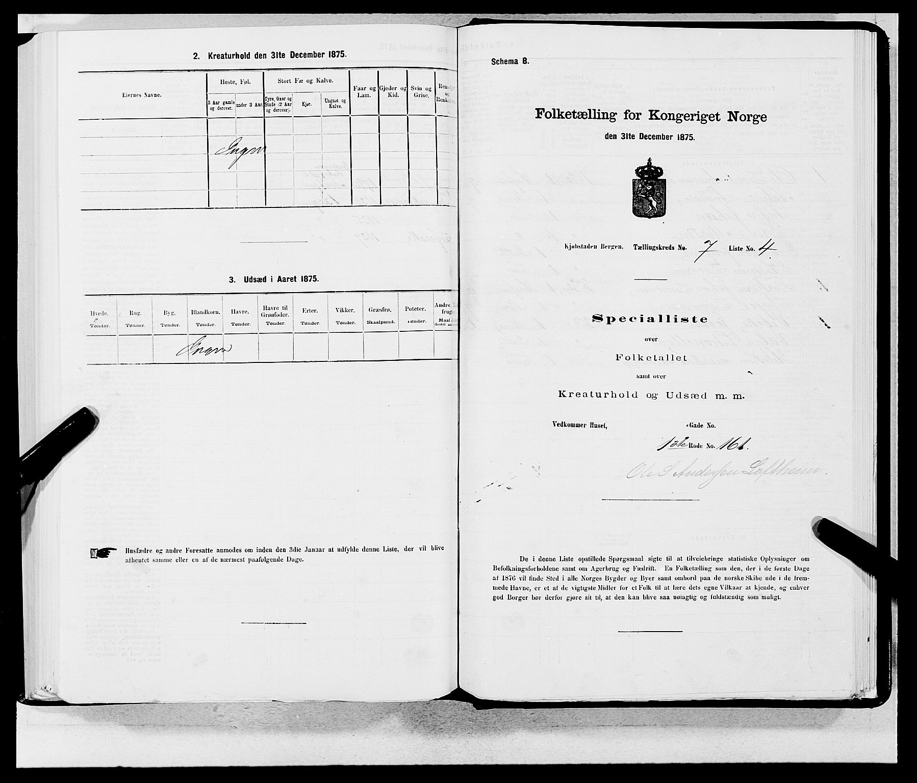 SAB, 1875 census for 1301 Bergen, 1875, p. 317