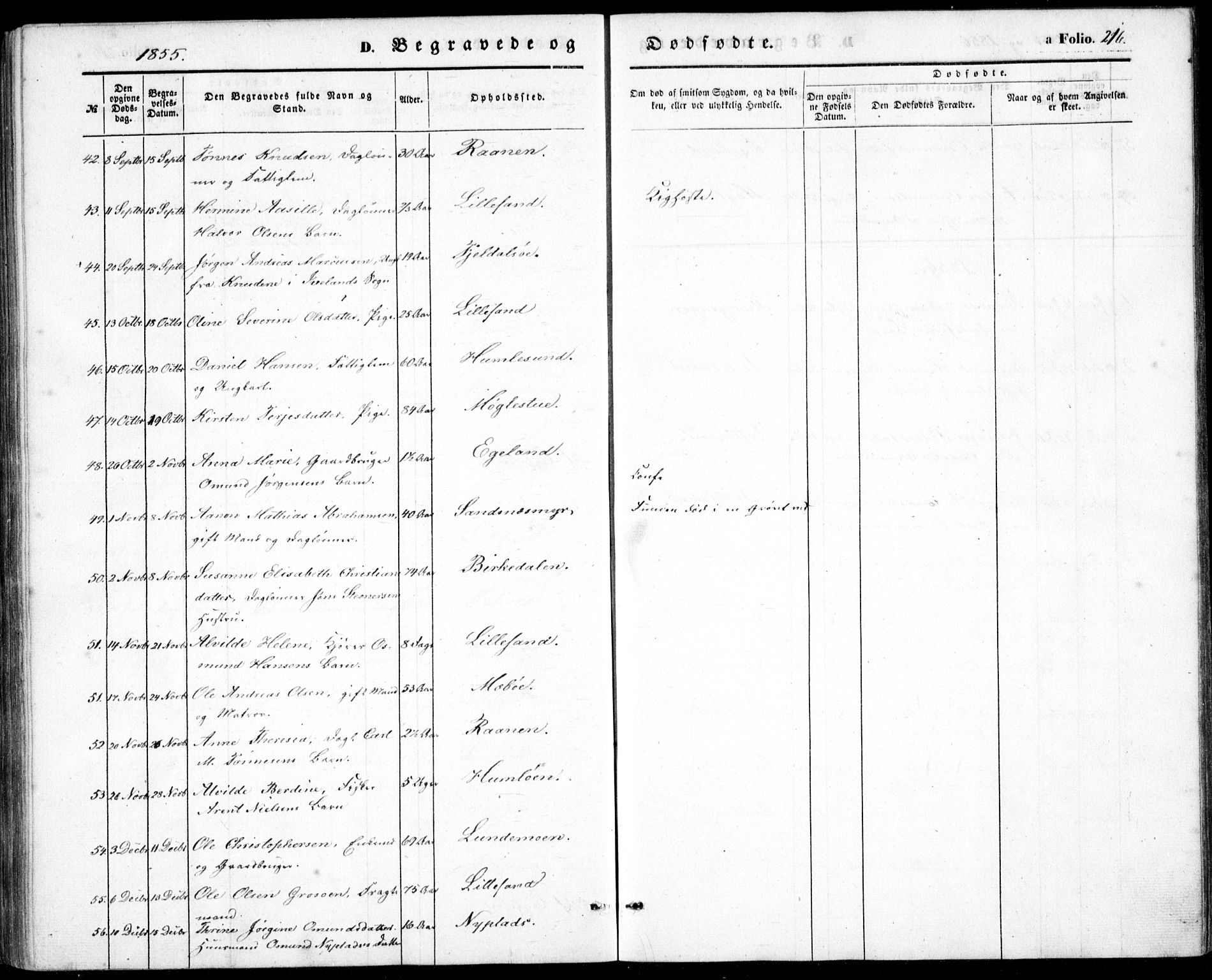 Vestre Moland sokneprestkontor, AV/SAK-1111-0046/F/Fb/Fbb/L0003: Parish register (copy) no. B 3, 1851-1861, p. 216