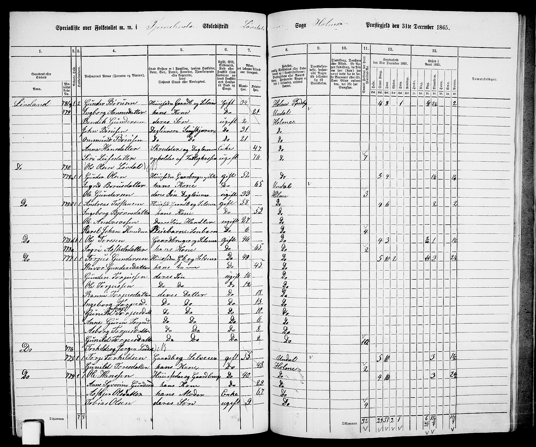 RA, 1865 census for Holum, 1865, p. 150