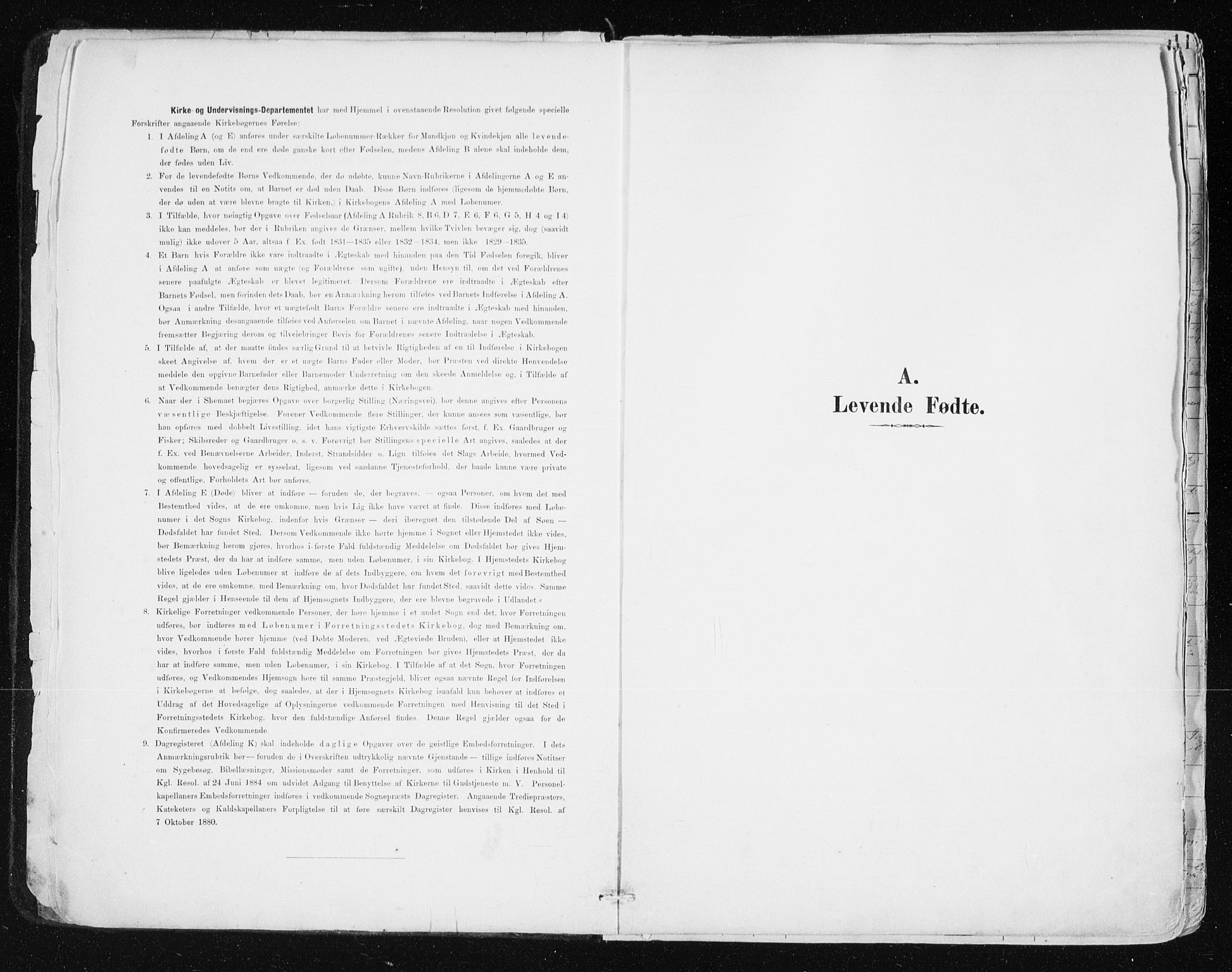 Lyngen sokneprestembete, SATØ/S-1289/H/He/Hea/L0008kirke: Parish register (official) no. 8, 1891-1902