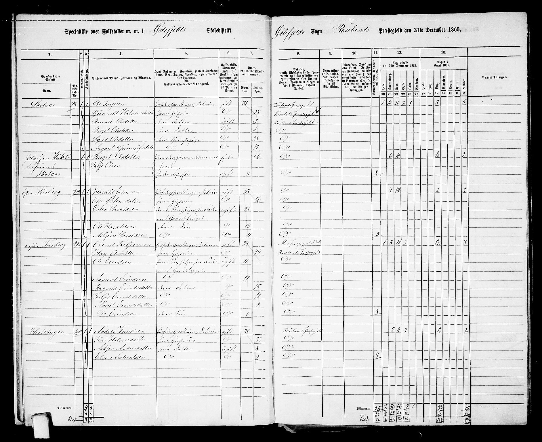 RA, 1865 census for Rauland, 1865, p. 13