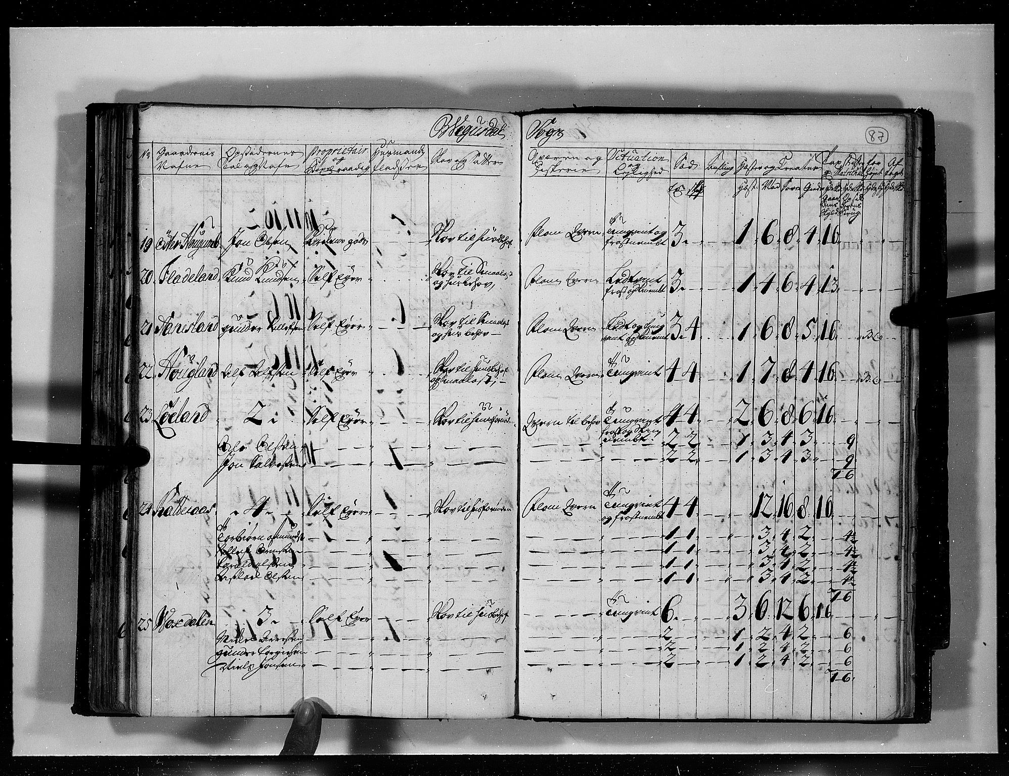 Rentekammeret inntil 1814, Realistisk ordnet avdeling, RA/EA-4070/N/Nb/Nbf/L0125: Råbyggelag eksaminasjonsprotokoll, 1723, p. 86b-87a