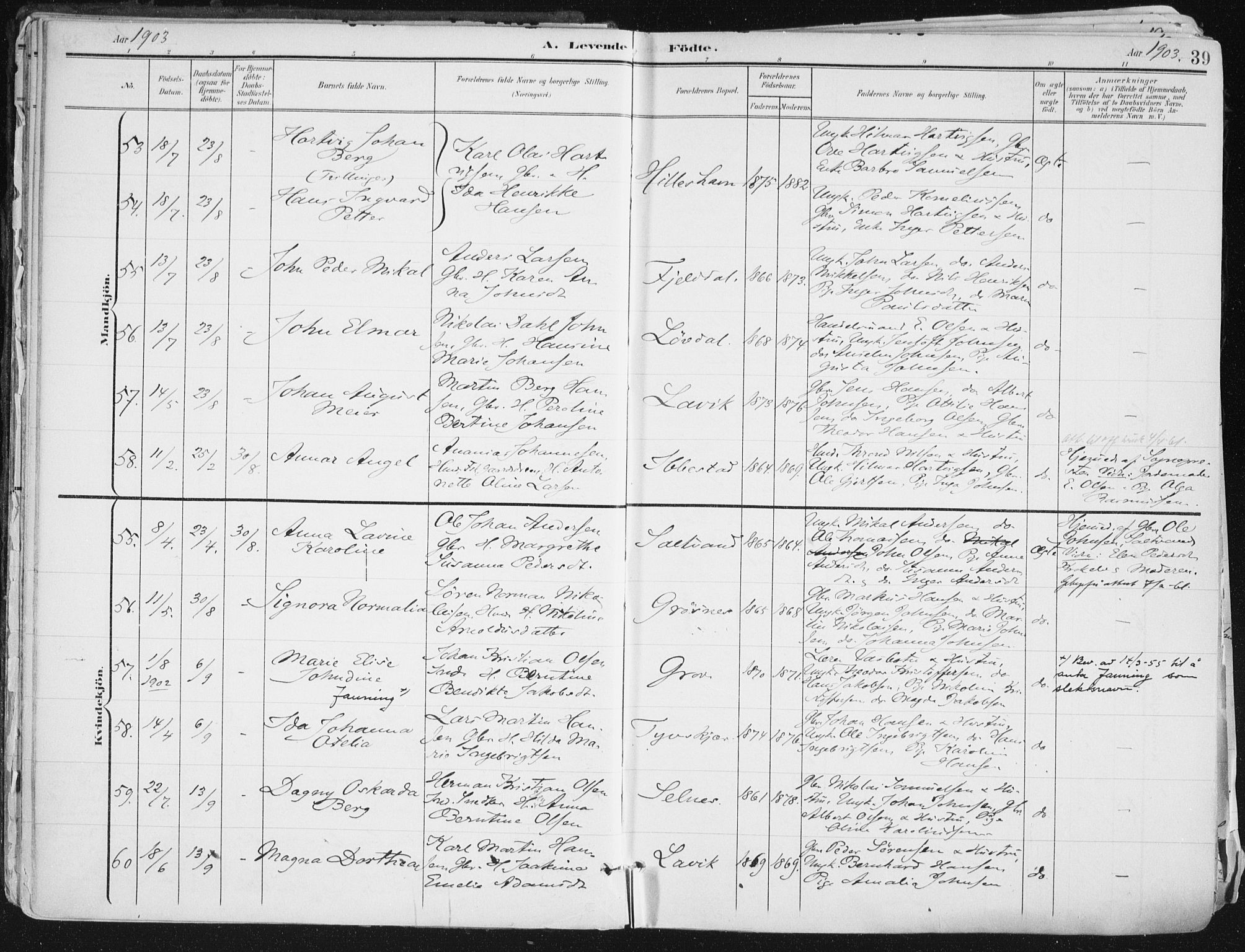 Ibestad sokneprestembete, AV/SATØ-S-0077/H/Ha/Haa/L0017kirke: Parish register (official) no. 17, 1901-1914, p. 39