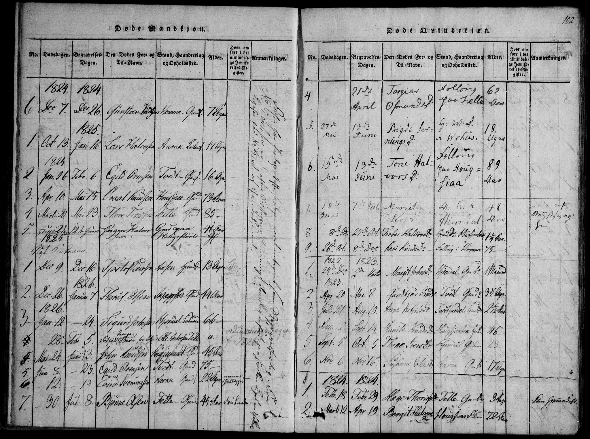 Nissedal kirkebøker, SAKO/A-288/F/Fb/L0001: Parish register (official) no. II 1, 1814-1845, p. 102