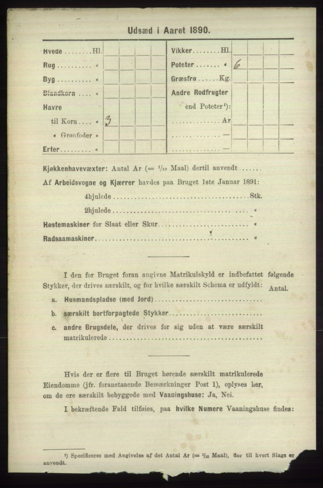 RA, 1891 census for 1251 Bruvik, 1891, p. 4233