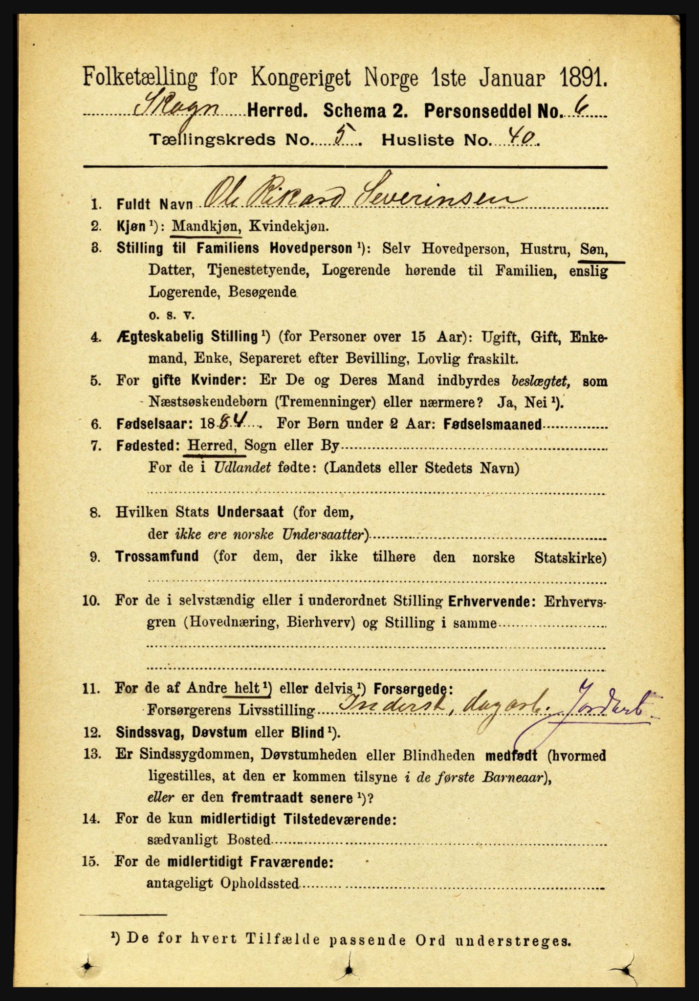 RA, 1891 census for 1719 Skogn, 1891, p. 3135