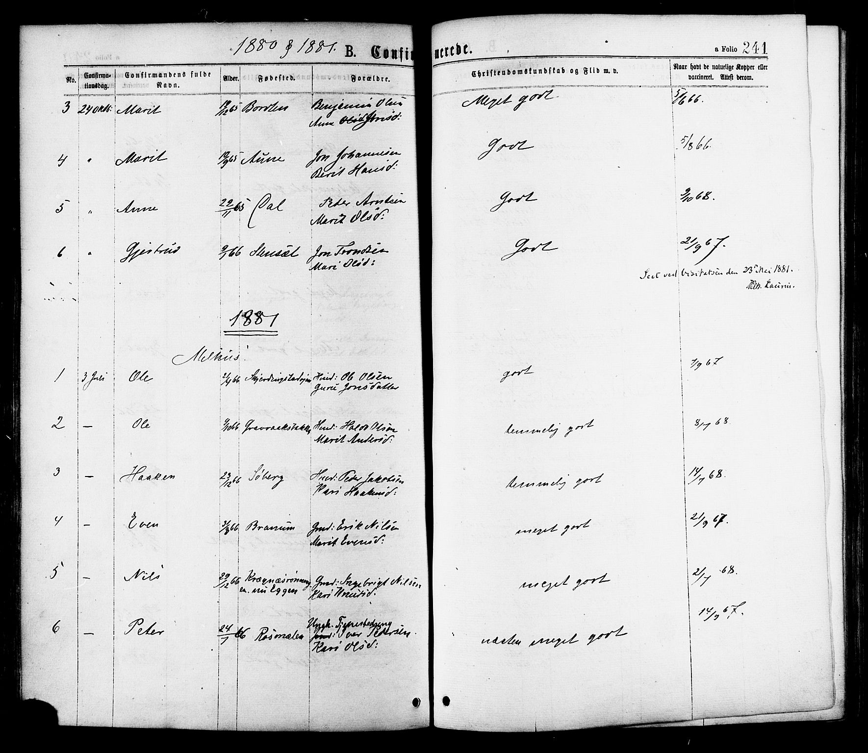 Ministerialprotokoller, klokkerbøker og fødselsregistre - Sør-Trøndelag, AV/SAT-A-1456/691/L1079: Parish register (official) no. 691A11, 1873-1886, p. 241