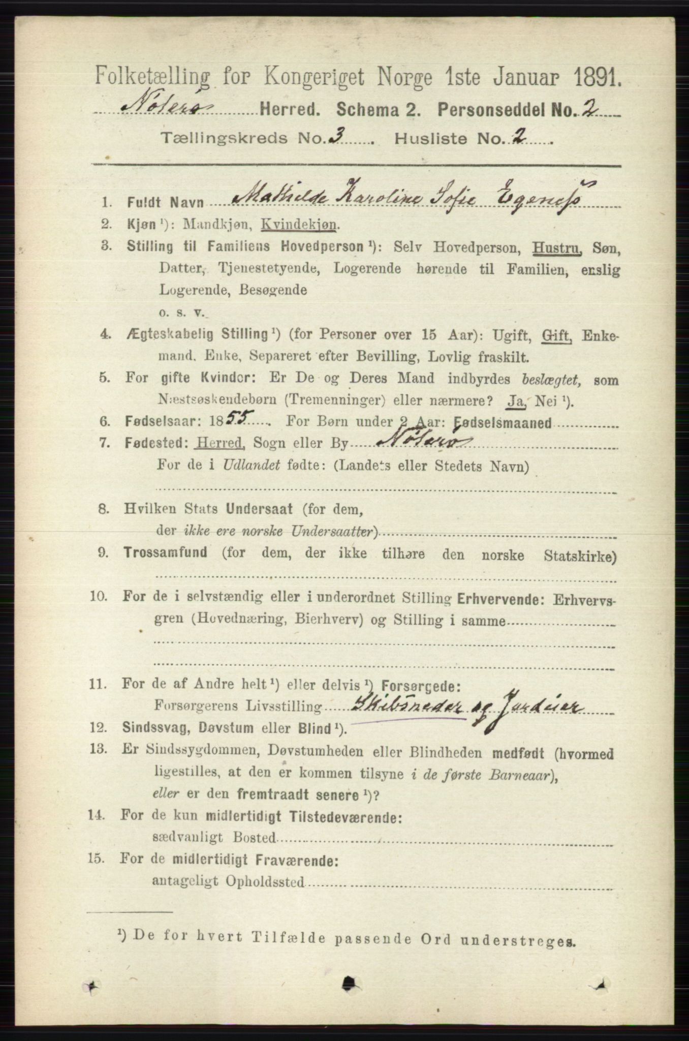 RA, 1891 census for 0722 Nøtterøy, 1891, p. 1551