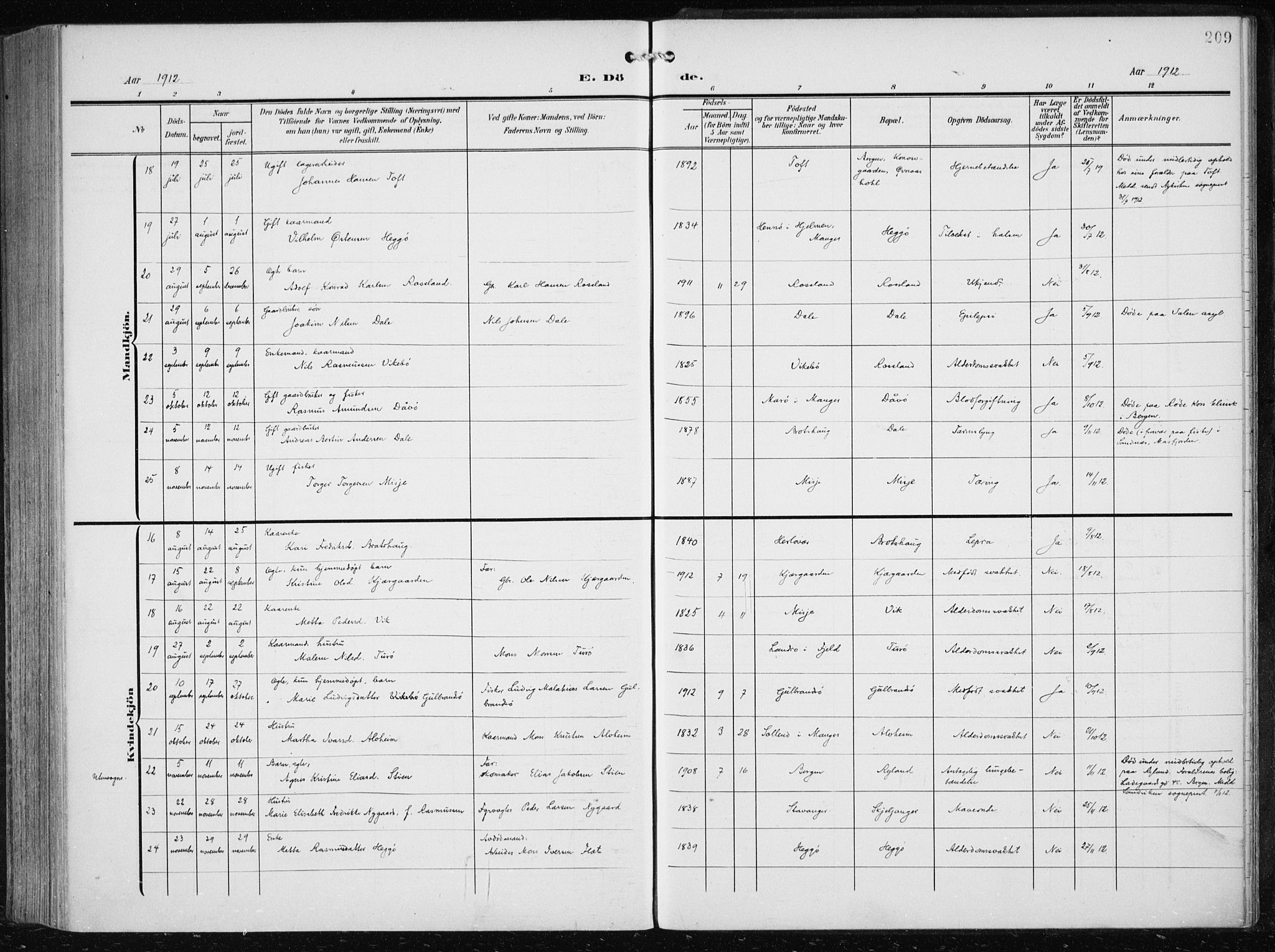 Herdla Sokneprestembete, AV/SAB-A-75701/H/Haa: Parish register (official) no. A 5, 1905-1918, p. 209