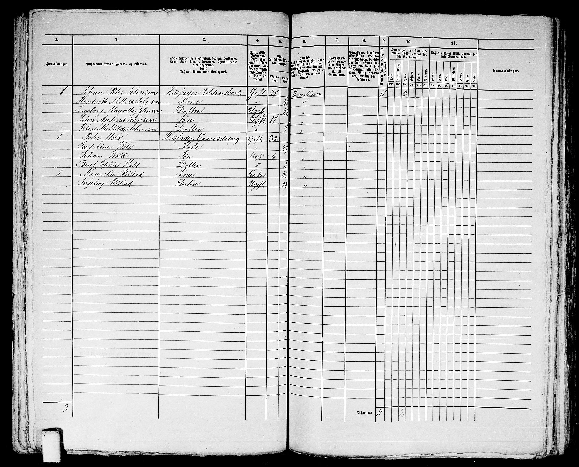 RA, 1865 census for Trondheim, 1865, p. 740