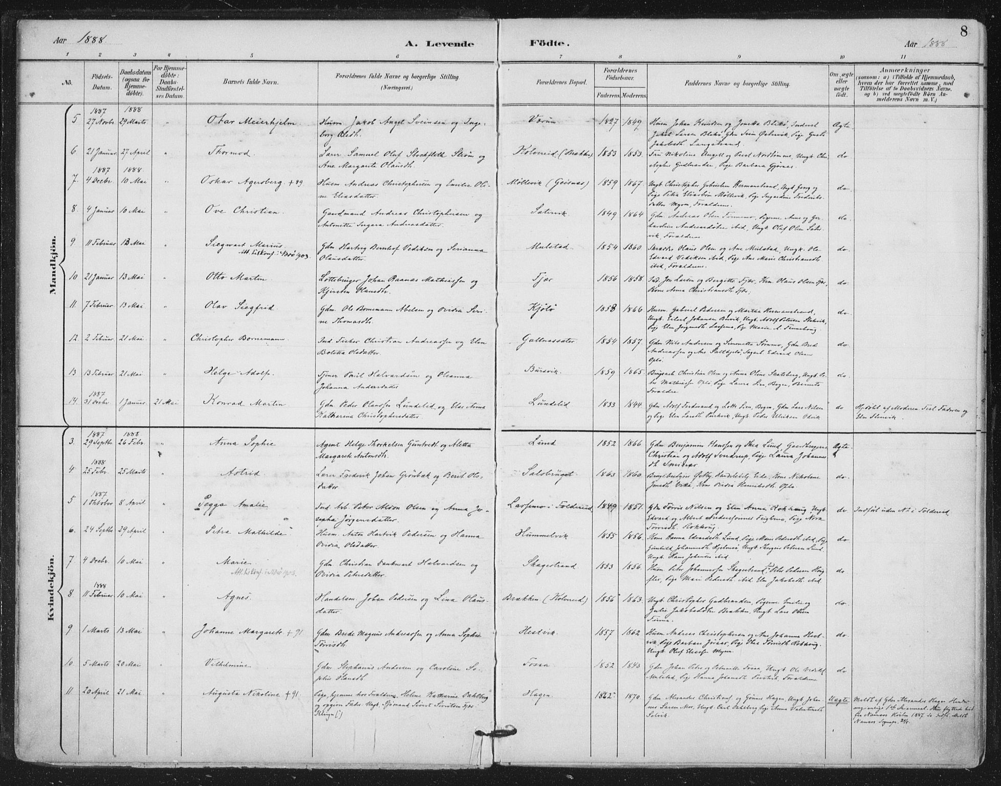 Ministerialprotokoller, klokkerbøker og fødselsregistre - Nord-Trøndelag, SAT/A-1458/780/L0644: Parish register (official) no. 780A08, 1886-1903, p. 8
