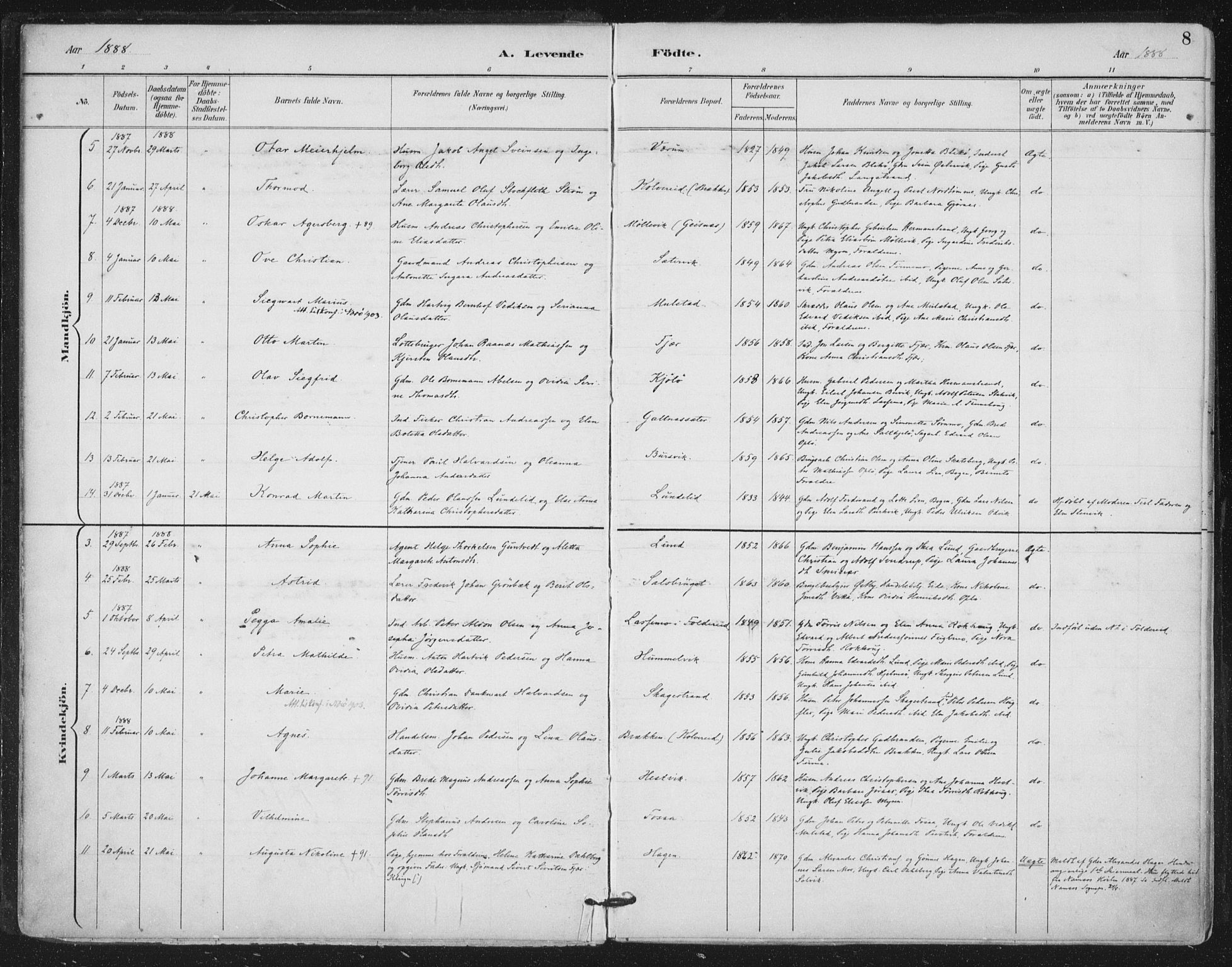 Ministerialprotokoller, klokkerbøker og fødselsregistre - Nord-Trøndelag, AV/SAT-A-1458/780/L0644: Parish register (official) no. 780A08, 1886-1903, p. 8