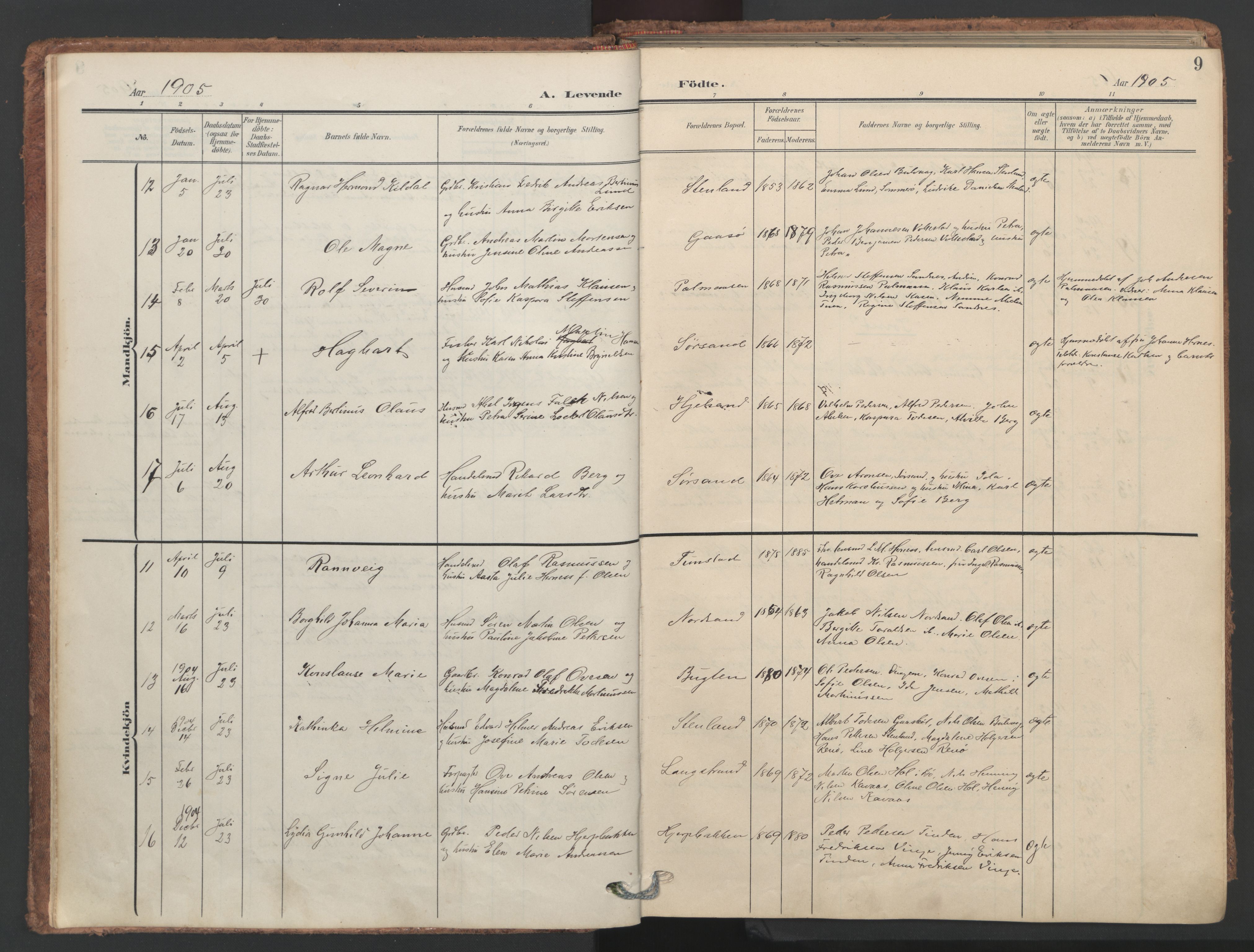 Ministerialprotokoller, klokkerbøker og fødselsregistre - Nordland, SAT/A-1459/893/L1339: Parish register (official) no. 893A11, 1904-1914, p. 9