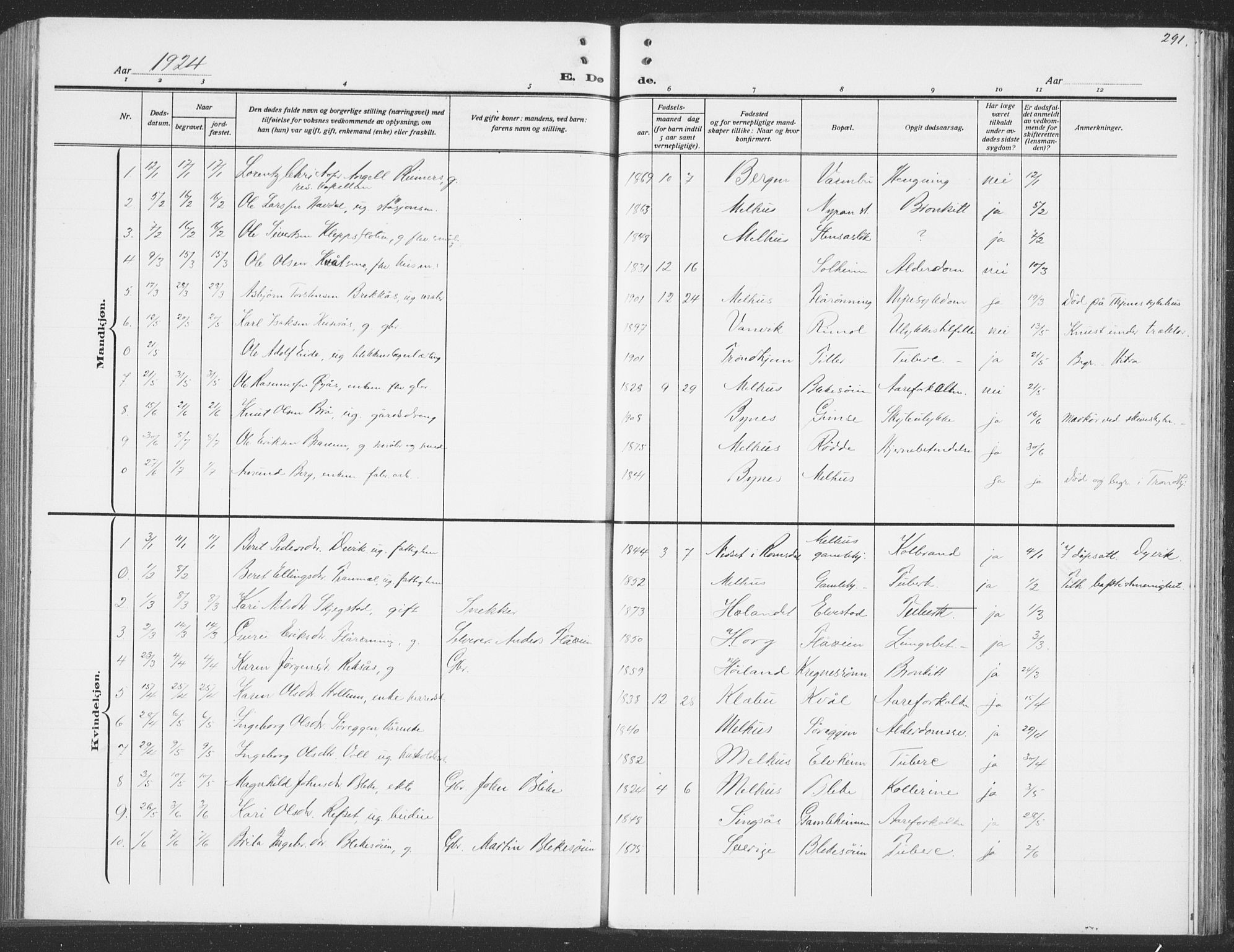 Ministerialprotokoller, klokkerbøker og fødselsregistre - Sør-Trøndelag, SAT/A-1456/691/L1095: Parish register (copy) no. 691C06, 1912-1933, p. 291
