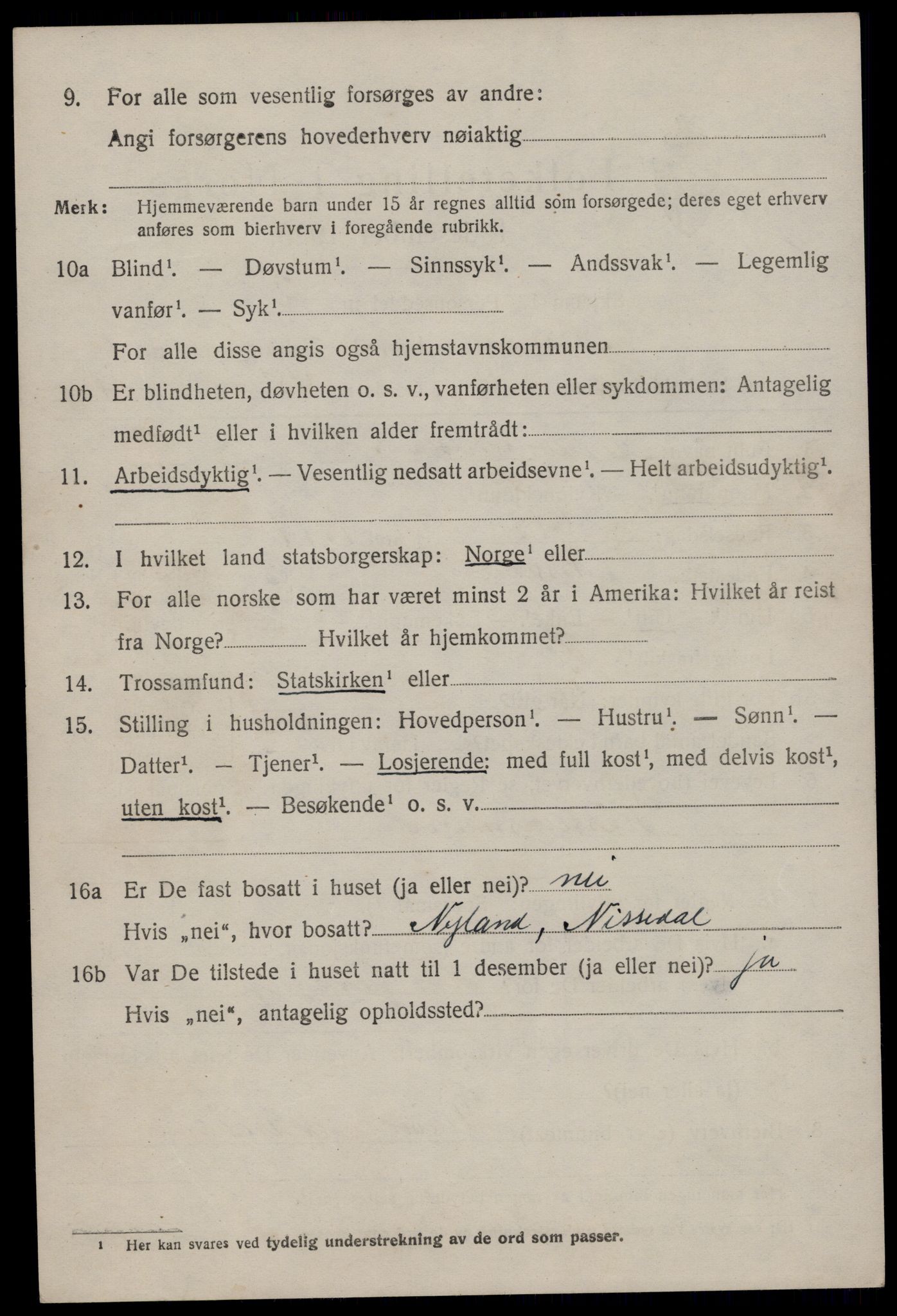 SAKO, 1920 census for Nissedal, 1920, p. 3928