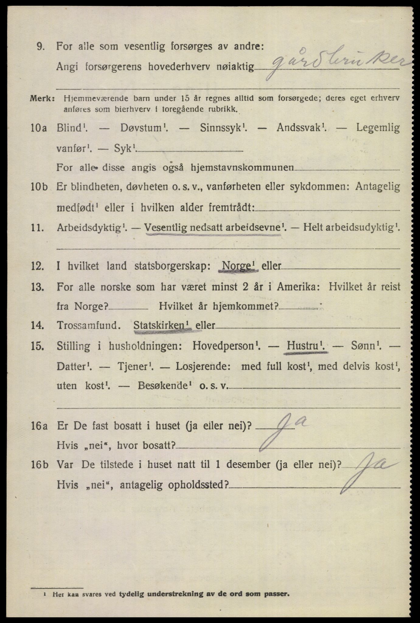 SAKO, 1920 census for Nes (Buskerud), 1920, p. 1263