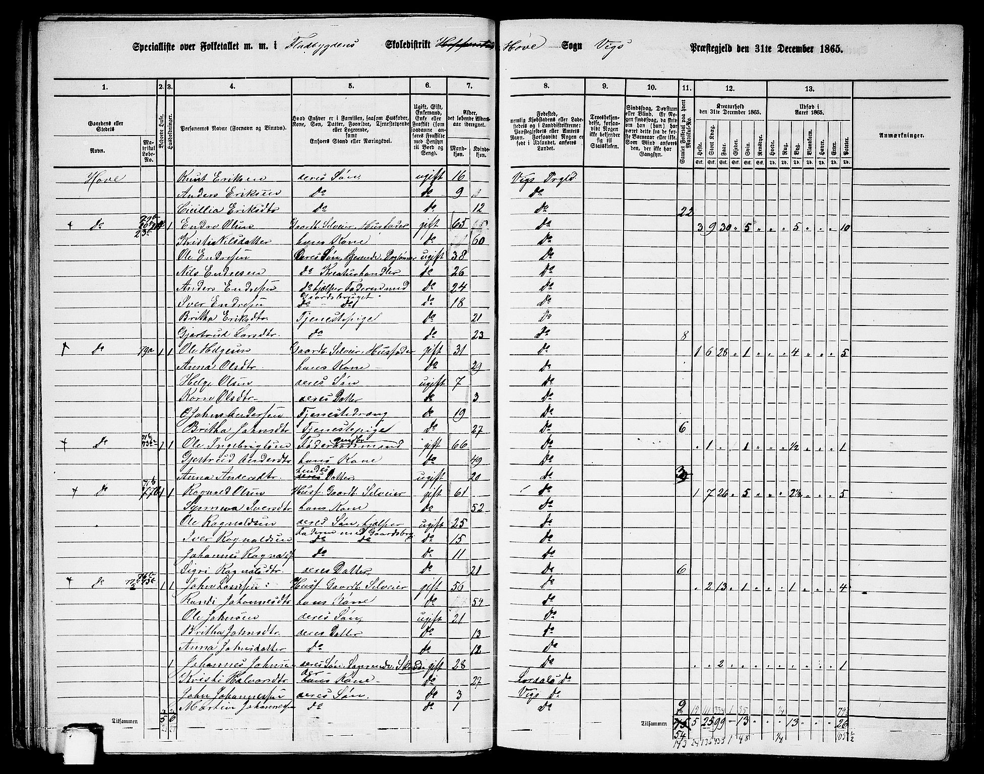 RA, 1865 census for Vik, 1865, p. 48