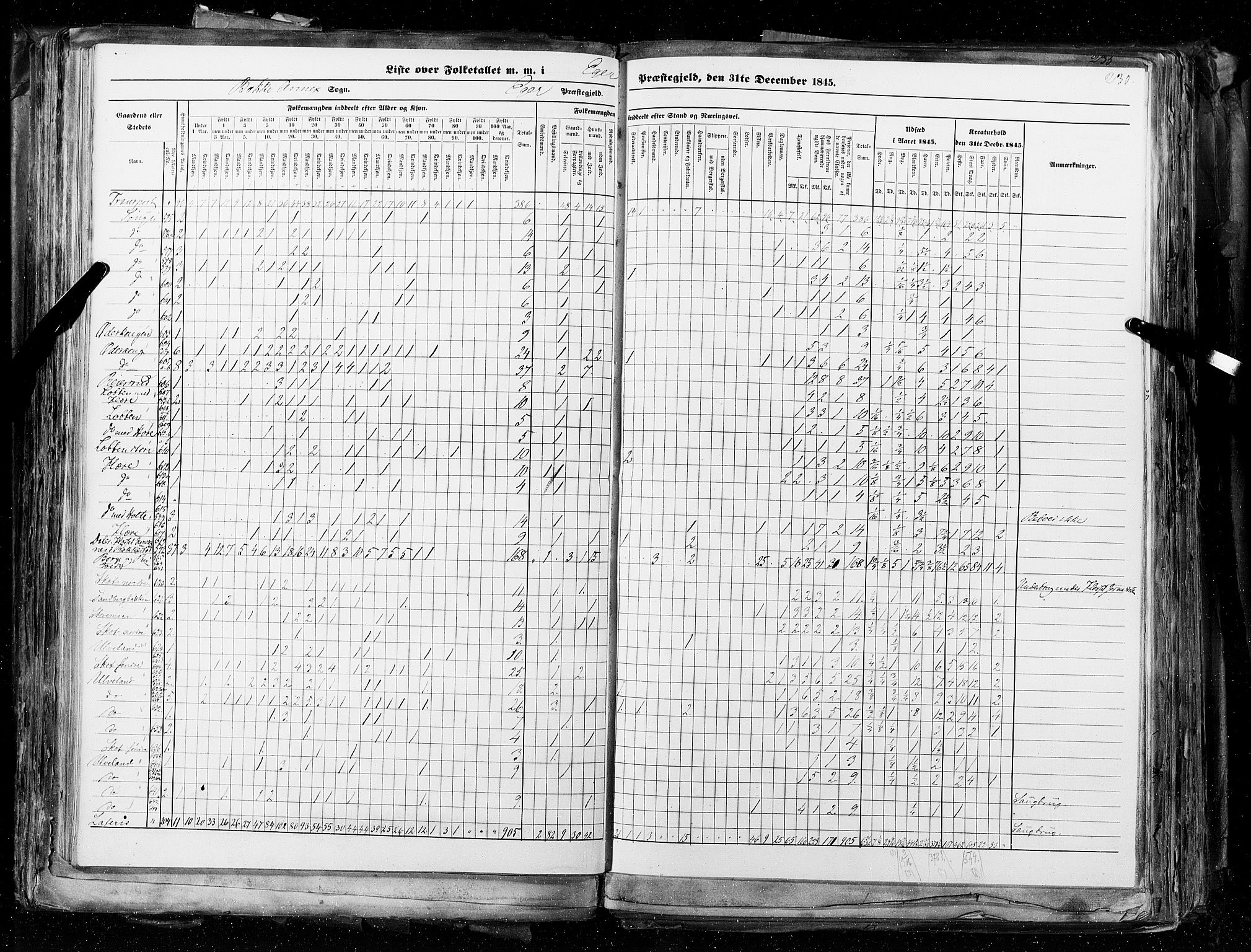 RA, Census 1845, vol. 4: Buskerud amt og Jarlsberg og Larvik amt, 1845, p. 230