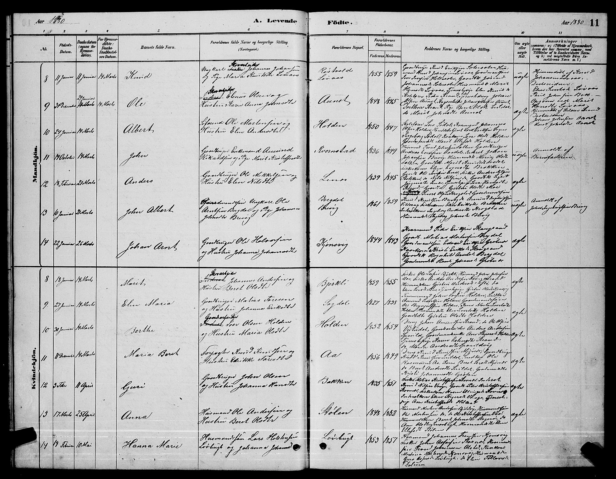 Ministerialprotokoller, klokkerbøker og fødselsregistre - Sør-Trøndelag, AV/SAT-A-1456/630/L0504: Parish register (copy) no. 630C02, 1879-1898, p. 11