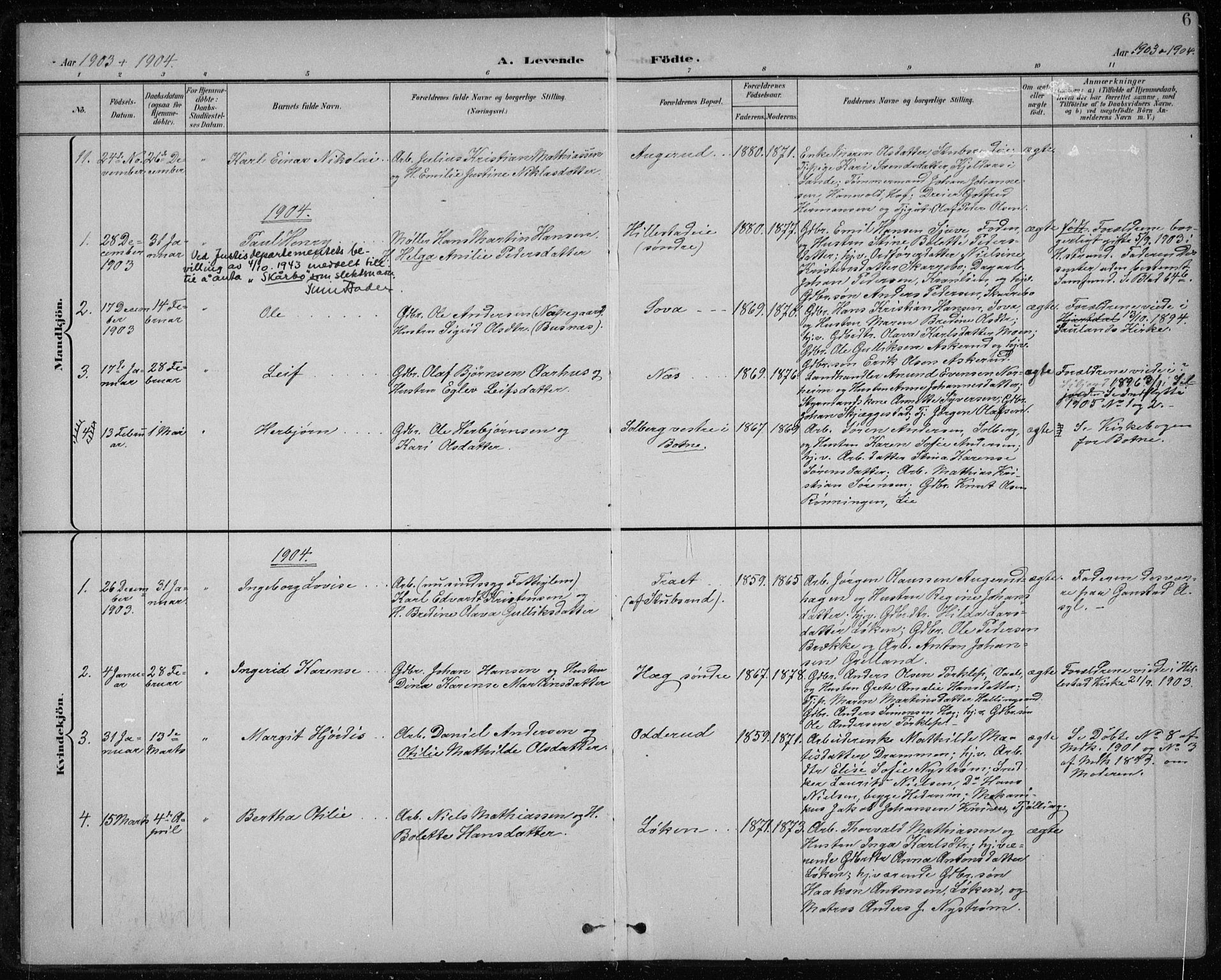 Botne kirkebøker, SAKO/A-340/F/Fb/L0002: Parish register (official) no. II 2, 1902-1915, p. 6