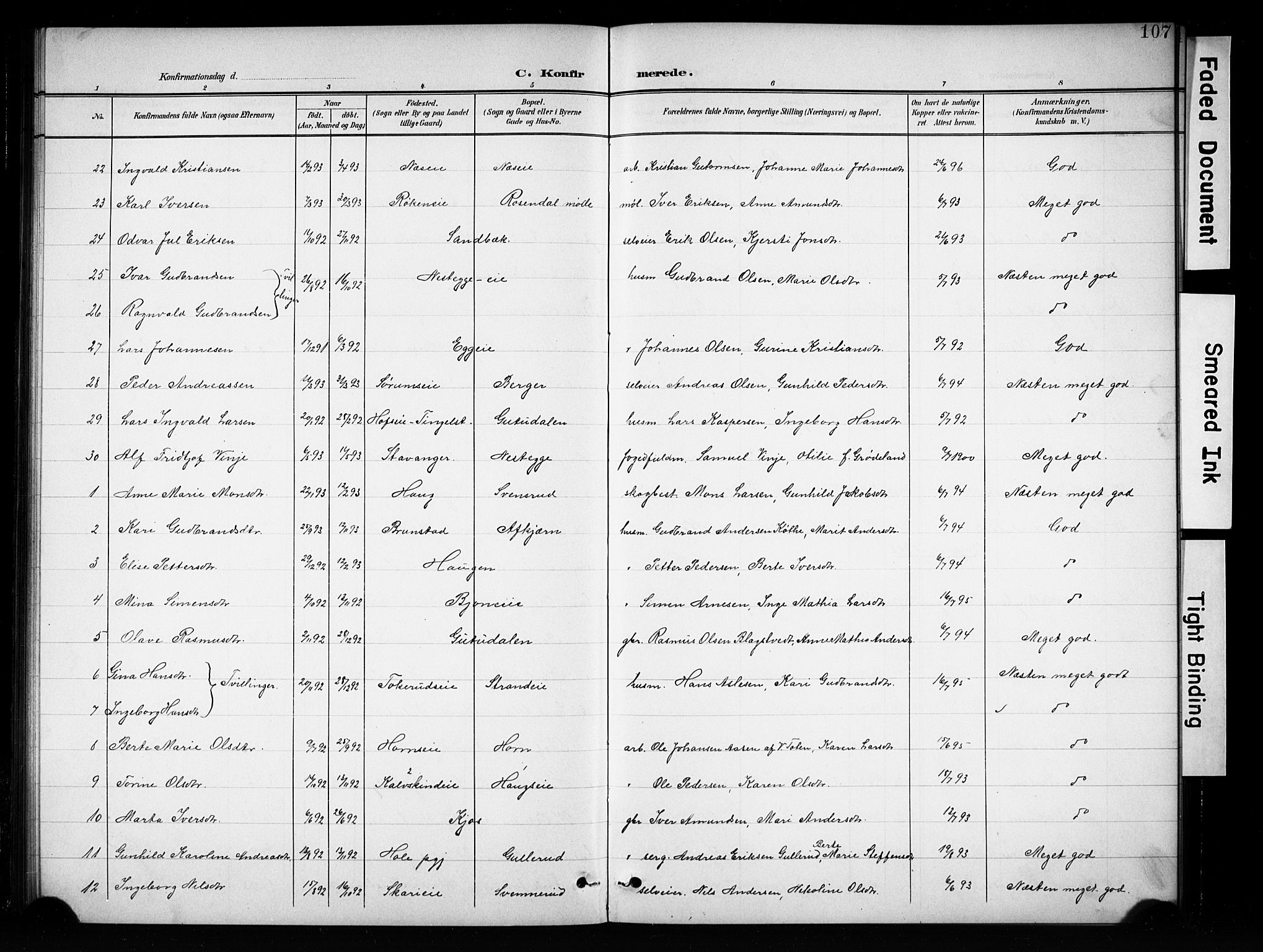 Brandbu prestekontor, AV/SAH-PREST-114/H/Ha/Hab/L0005: Parish register (copy) no. 5, 1900-1913, p. 107