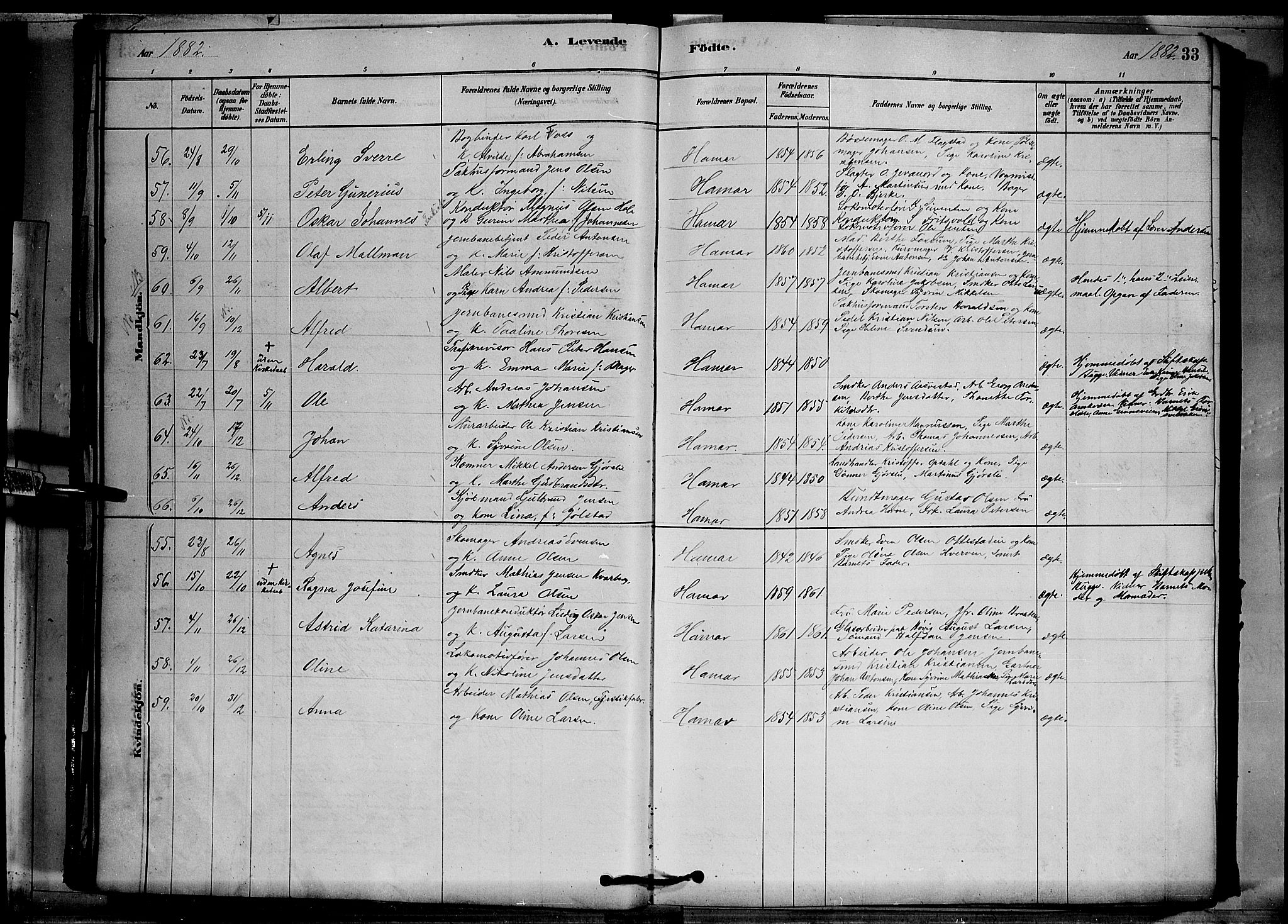 Vang prestekontor, Hedmark, AV/SAH-PREST-008/H/Ha/Hab/L0012: Parish register (copy) no. 12, 1878-1889, p. 33