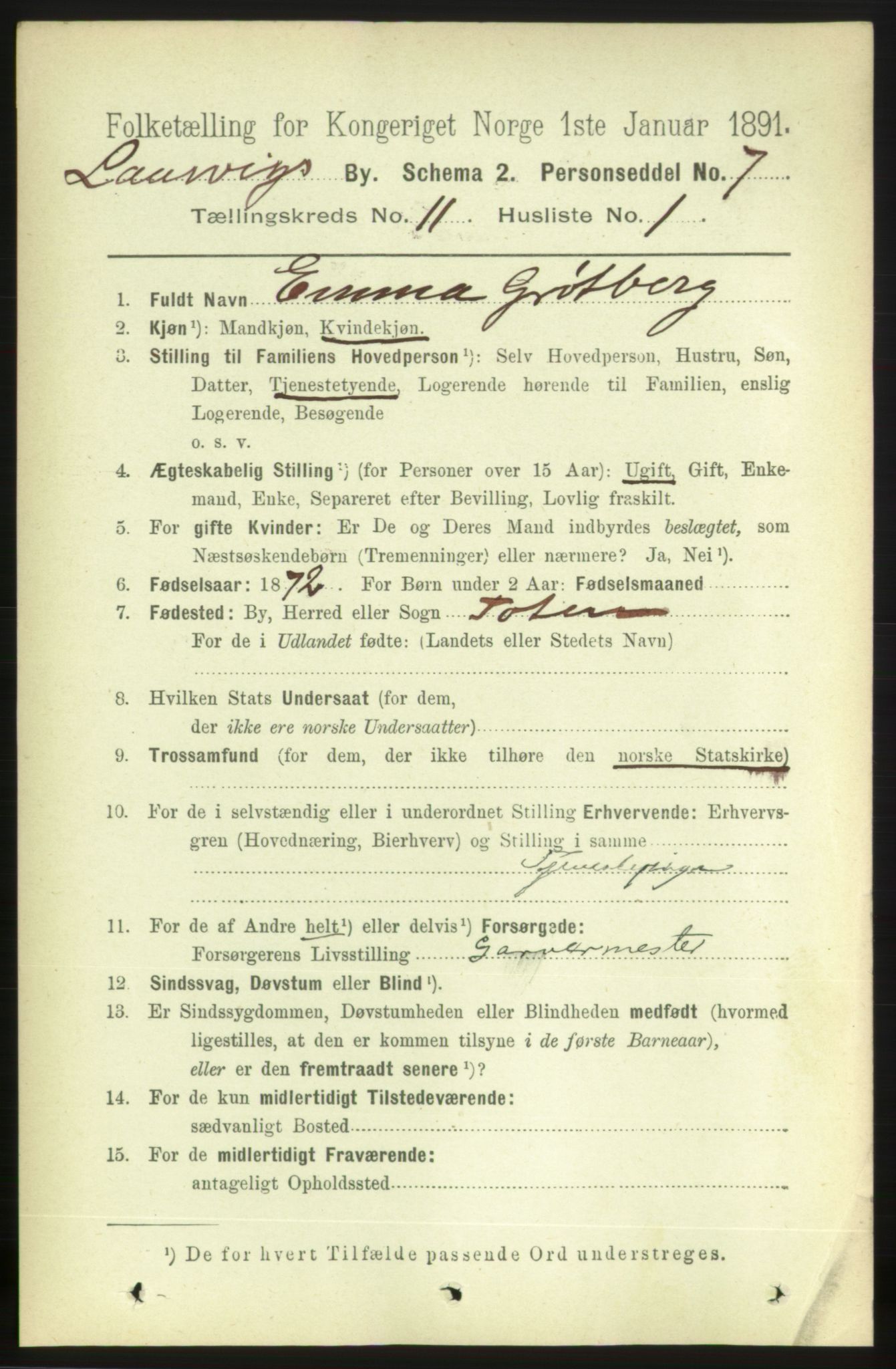 RA, 1891 census for 0707 Larvik, 1891, p. 9617