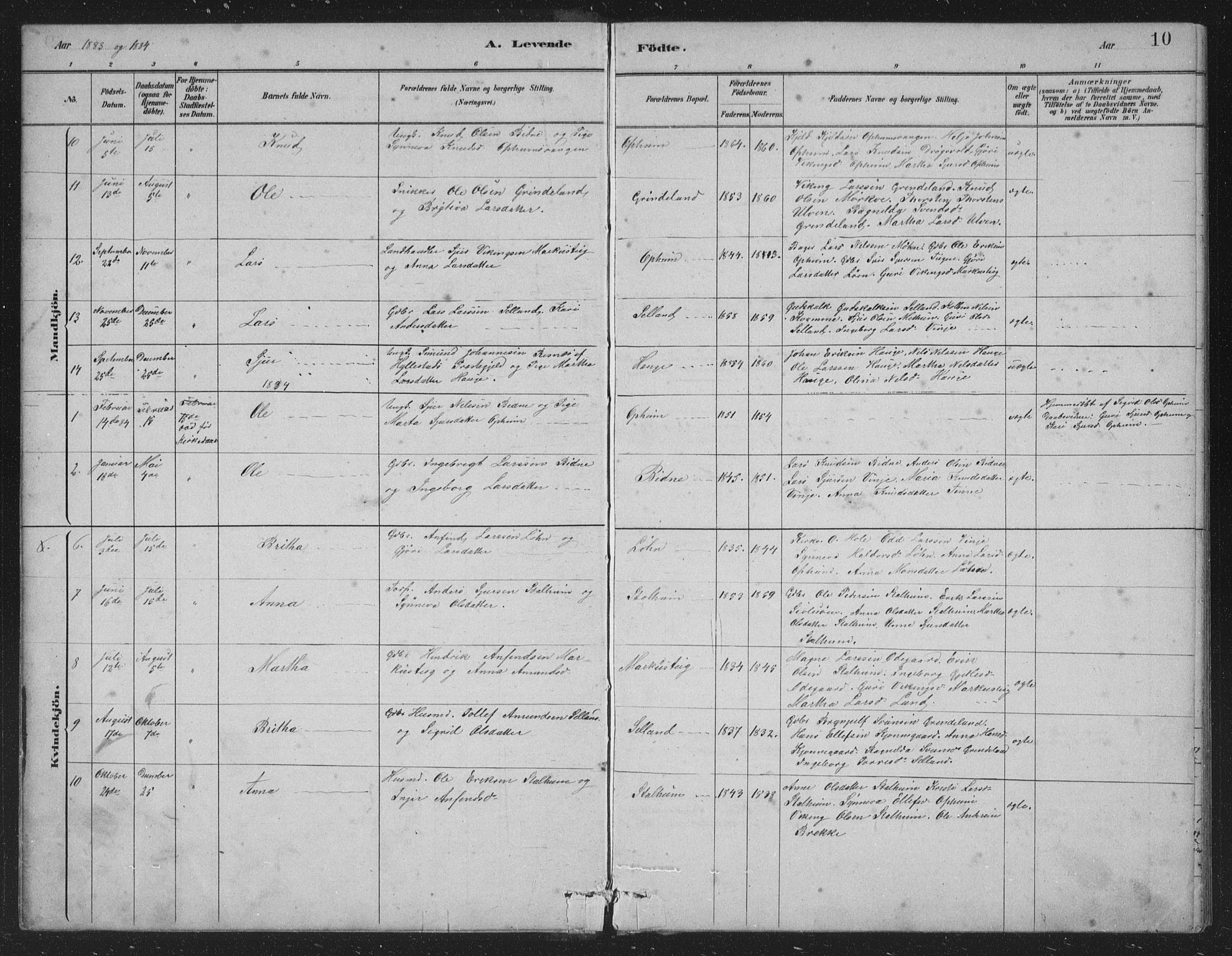 Vossestrand Sokneprestembete, SAB/A-79101/H/Hab: Parish register (copy) no. A 2, 1880-1902, p. 10