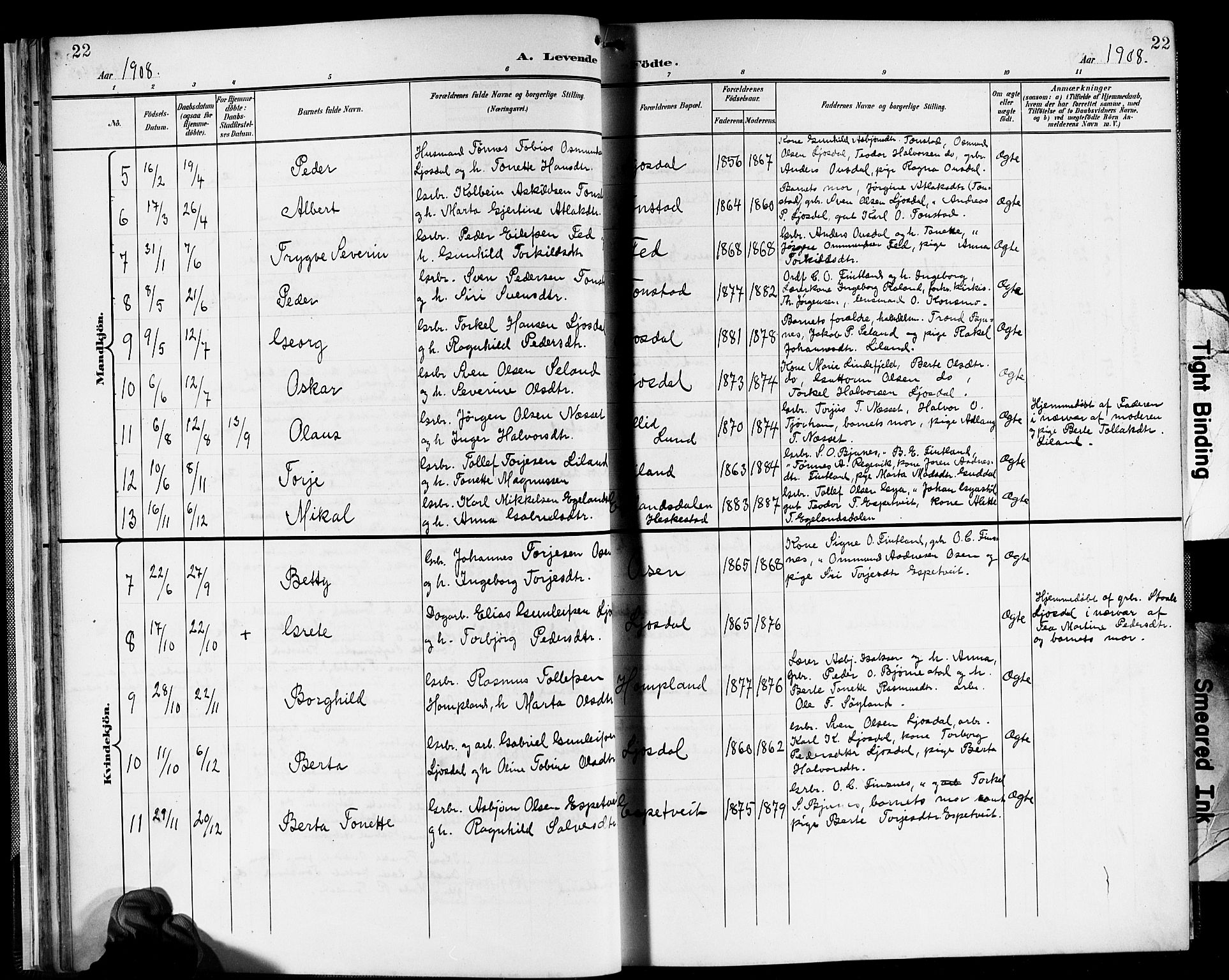 Sirdal sokneprestkontor, SAK/1111-0036/F/Fb/Fbb/L0004: Parish register (copy) no. B 4, 1895-1916, p. 22