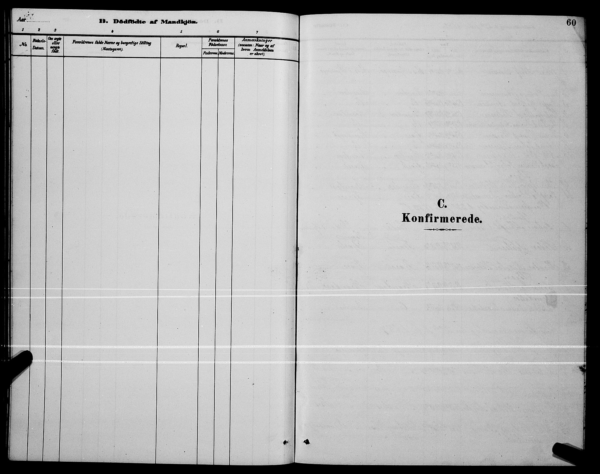 Ministerialprotokoller, klokkerbøker og fødselsregistre - Nordland, SAT/A-1459/803/L0076: Parish register (copy) no. 803C03, 1882-1897, p. 60