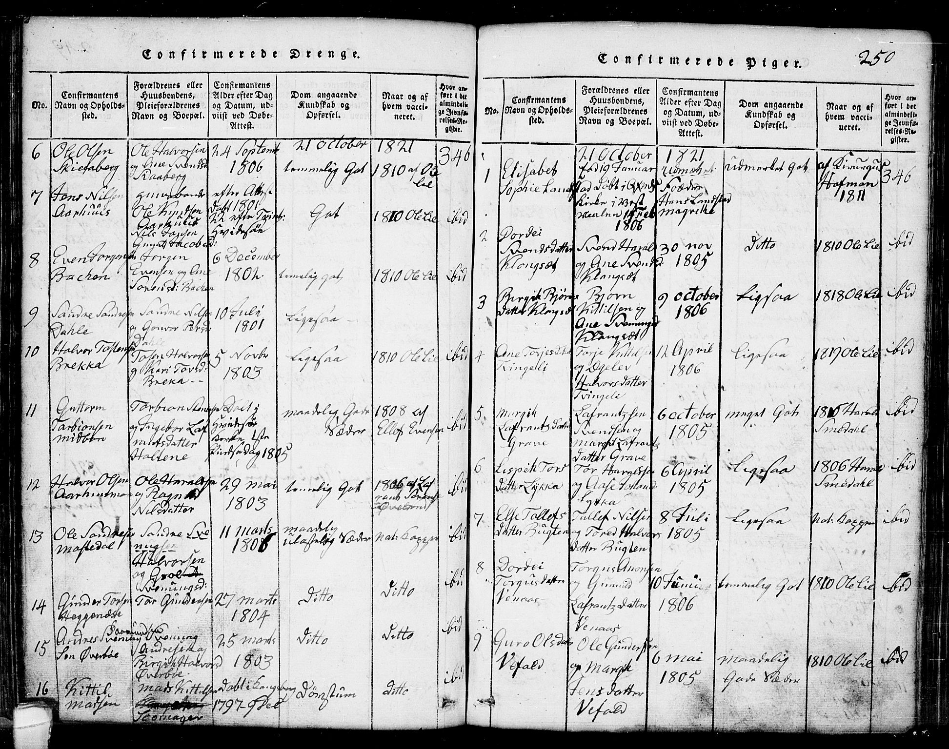 Seljord kirkebøker, AV/SAKO-A-20/G/Ga/L0001: Parish register (copy) no. I 1, 1815-1854, p. 250