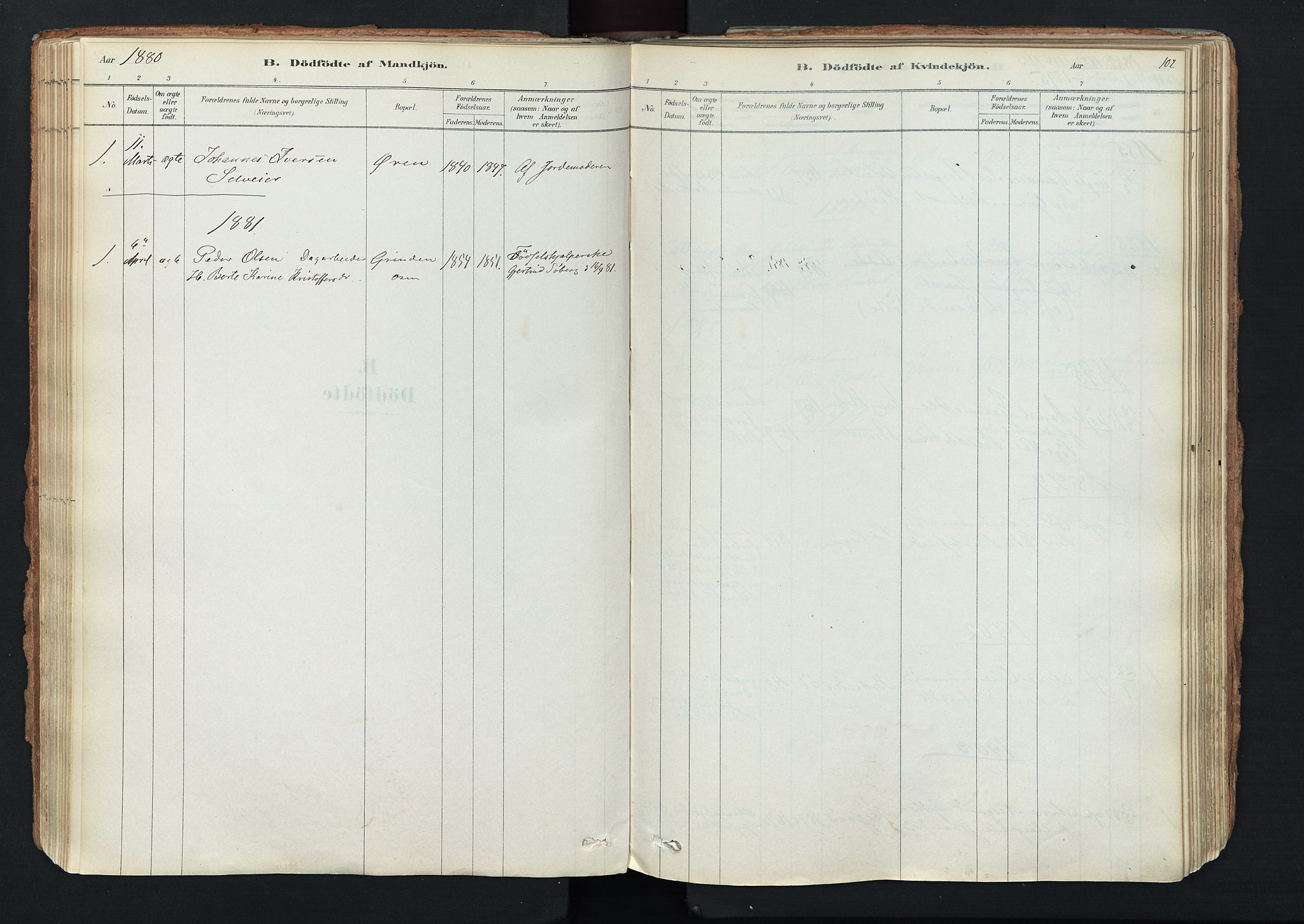 Trysil prestekontor, SAH/PREST-046/H/Ha/Haa/L0011: Parish register (official) no. 11, 1878-1912, p. 107