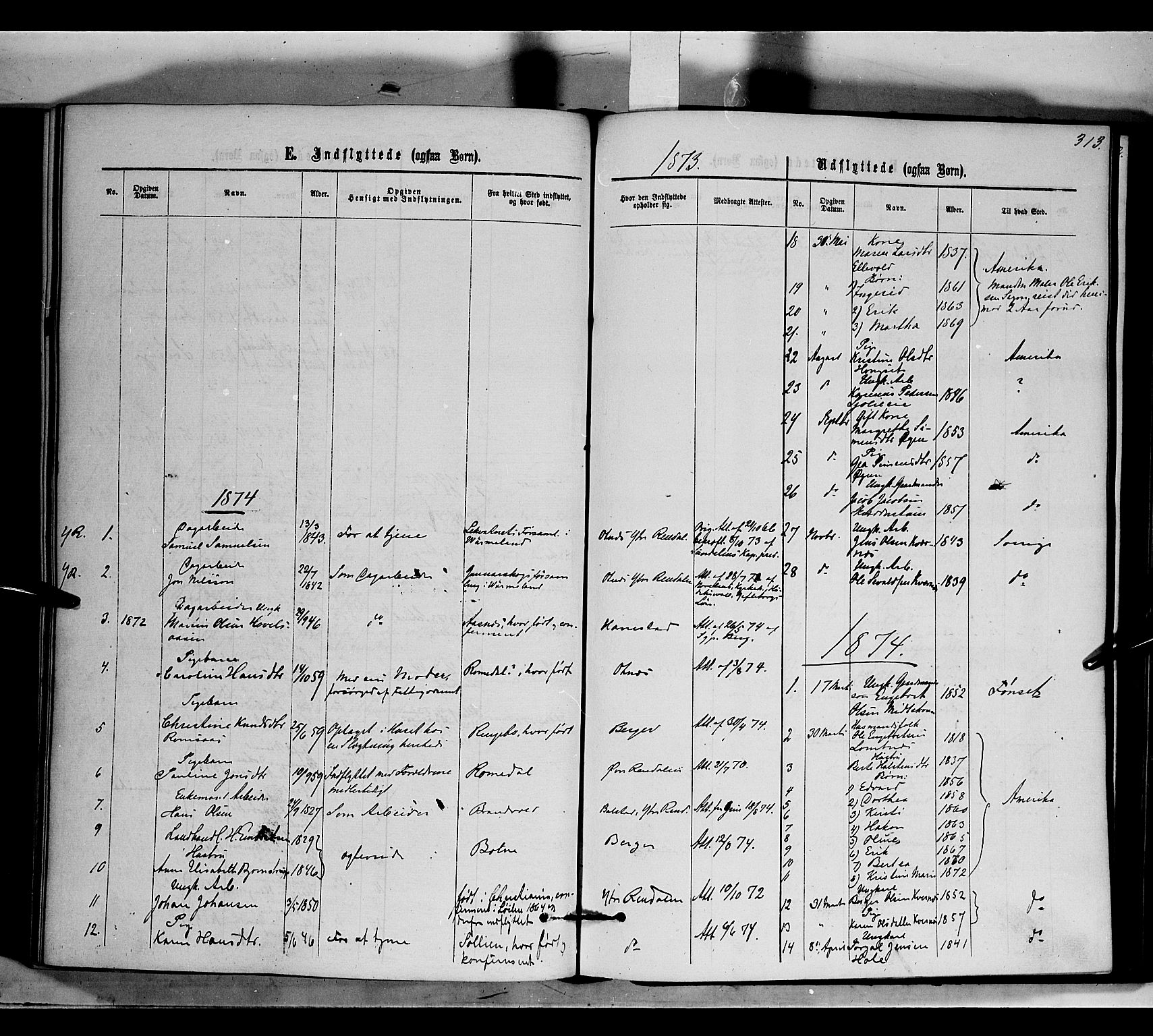 Rendalen prestekontor, SAH/PREST-054/H/Ha/Haa/L0006: Parish register (official) no. 6, 1867-1877, p. 313