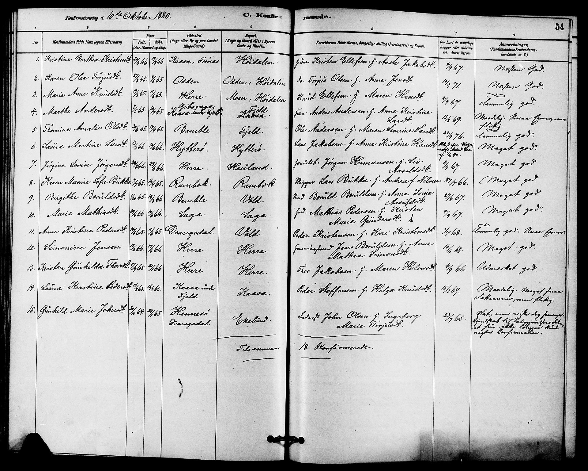 Solum kirkebøker, SAKO/A-306/F/Fc/L0001: Parish register (official) no. III 1, 1877-1891, p. 54