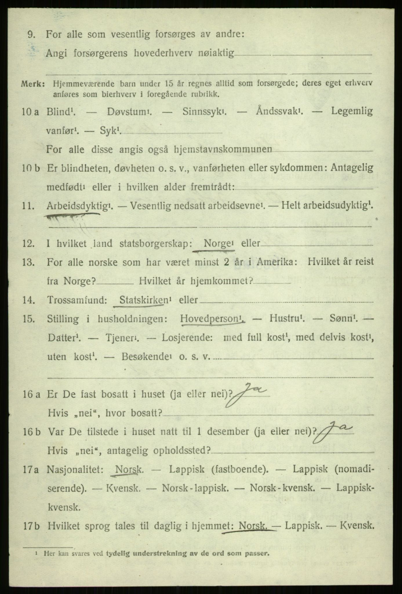 SATØ, 1920 census for Ibestad, 1920, p. 13228