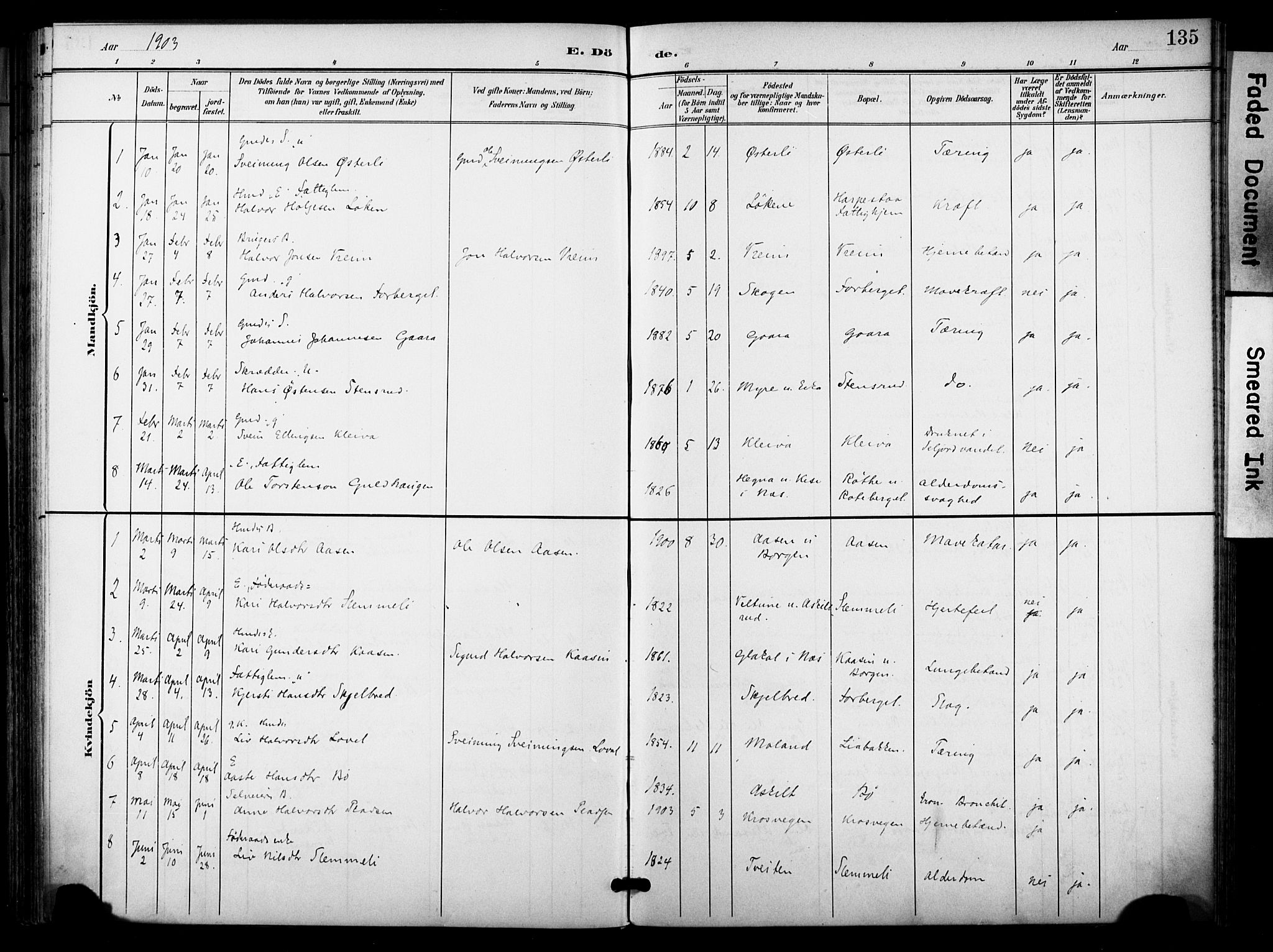 Bø kirkebøker, SAKO/A-257/F/Fa/L0012: Parish register (official) no. 12, 1900-1908, p. 135