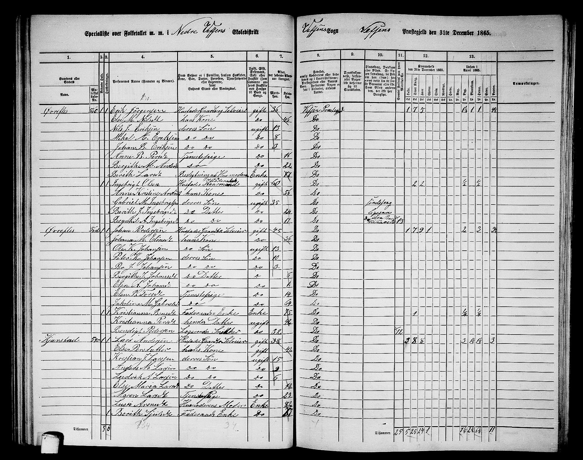 RA, 1865 census for Vefsn, 1865, p. 67