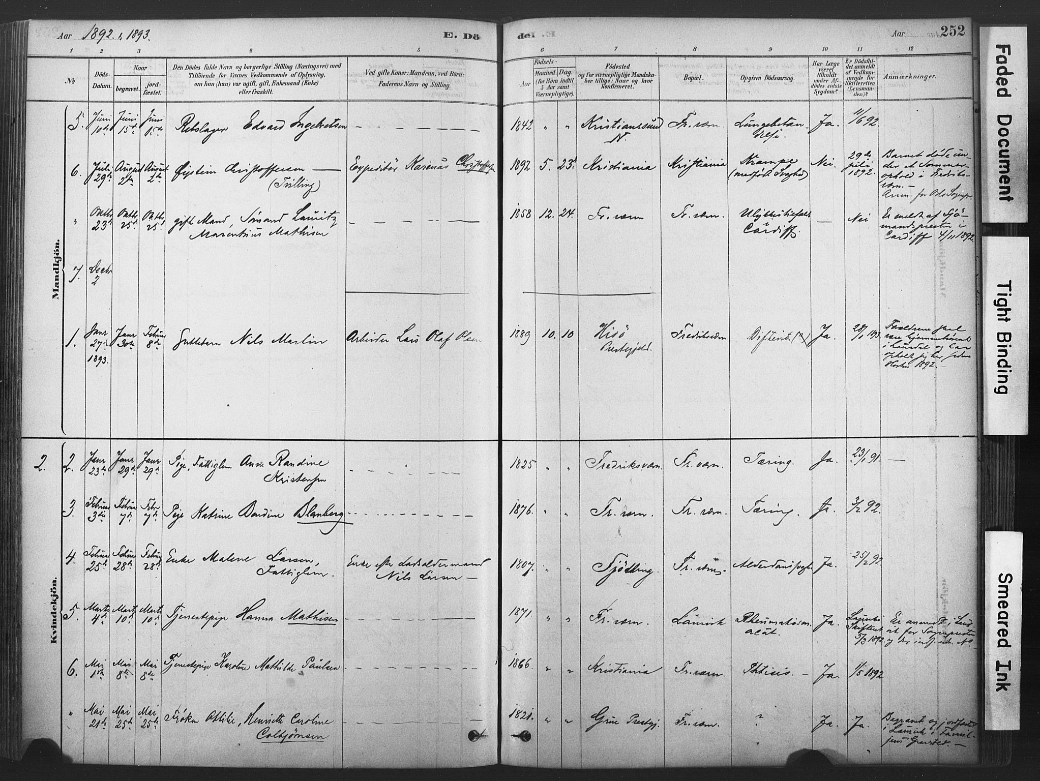 Stavern kirkebøker, SAKO/A-318/F/Fa/L0008: Parish register (official) no. 8, 1878-1905, p. 252